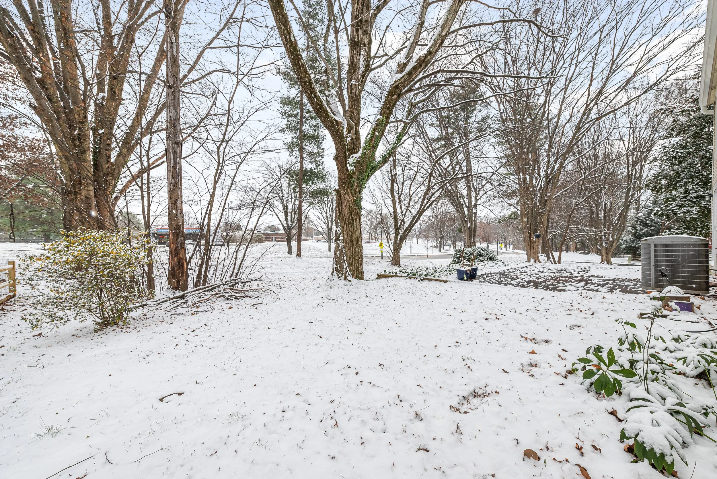 43-DSC_7095.jpg
