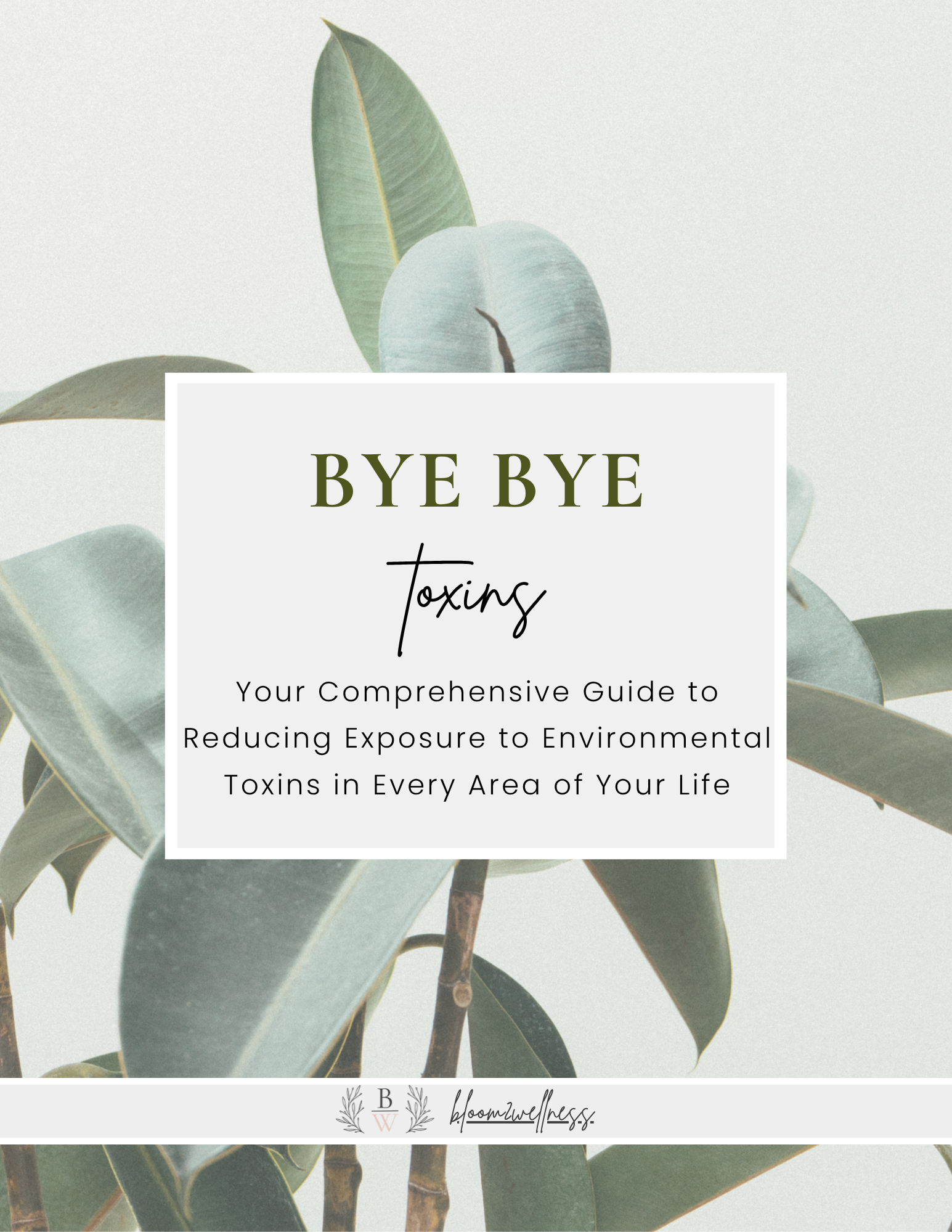 Bye-Bye Toxins Guide (Everyday Essentials)