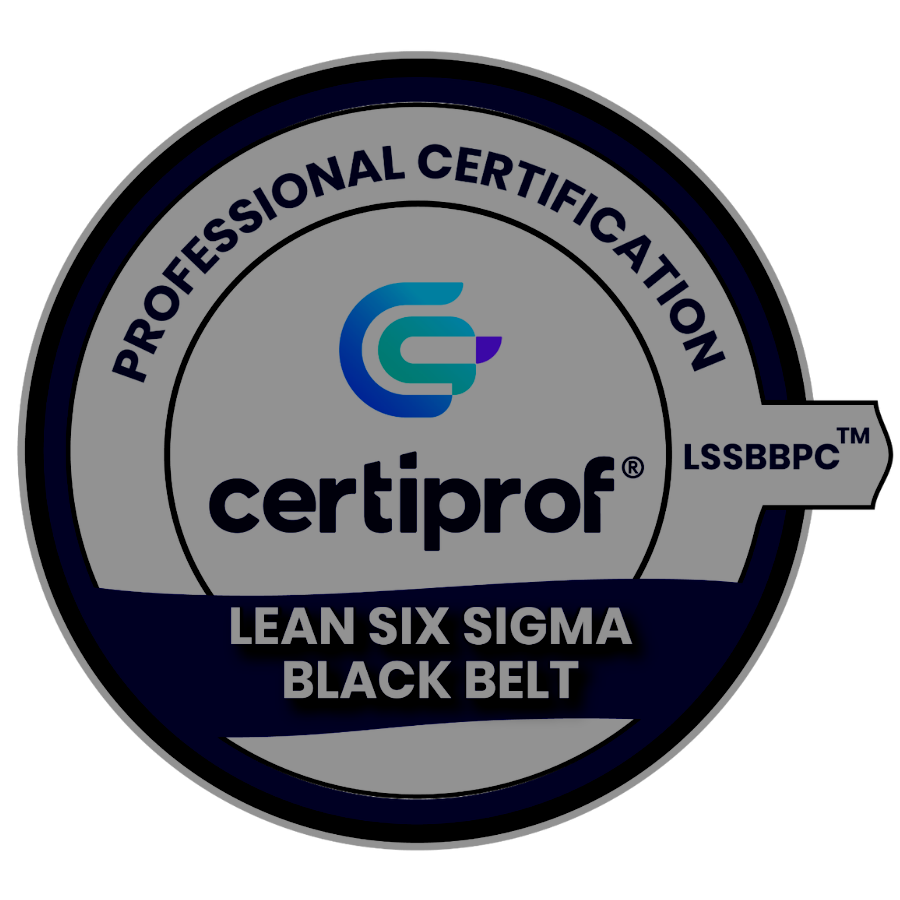Lean Six Sigma Black Belt