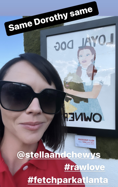 Stella & Chewy's Stunt.webp