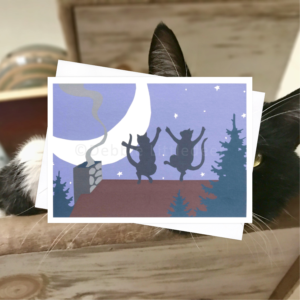 Tired of the Winter Blues.png