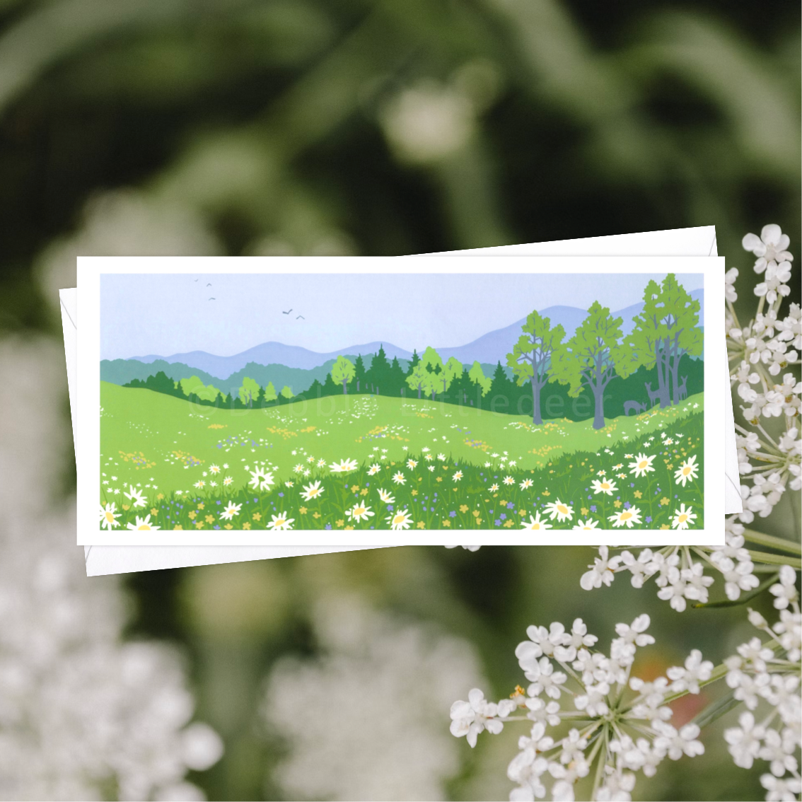 Early Summer Meadow.png