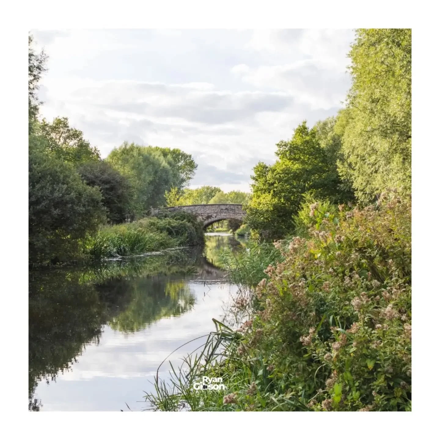 REFLECTIONS 

Another fantastic walk from Heybridge to Beeleigh last week. Some great light to capture the reflections along the river! 

#reflection #riverwalk #canal #perfectlight #walk #thisismaldon #Essex