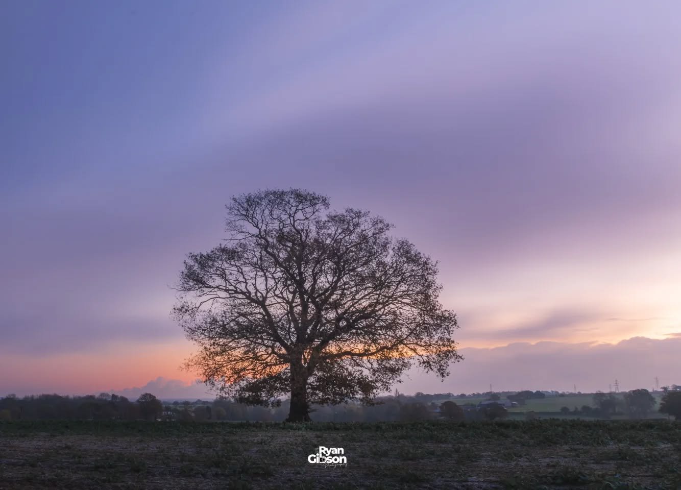 THE TREE

I have been eyeing this tree 🌳 up for a while! I now can't decide which edit i like the best! 

Thoughts? 

#sunrise #purplesky💜 #glowup #outdoorphotographer #farmland #naturemagic #digitalcameramagazine
