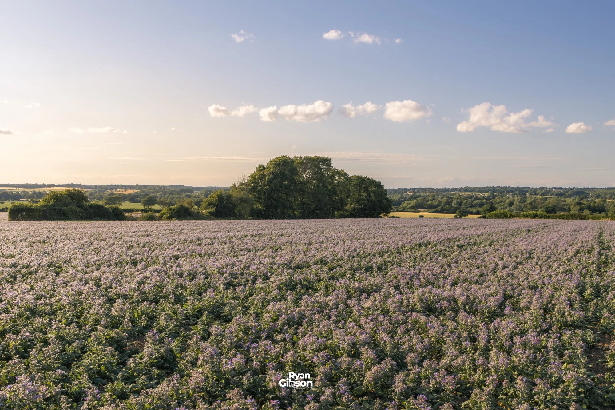 Sunset over farmers fields