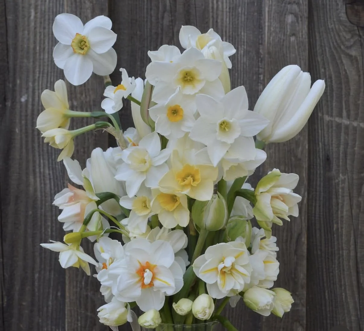 A bouquet of white daffodils, tulips, and other spring flowers arranged on a wooden background.