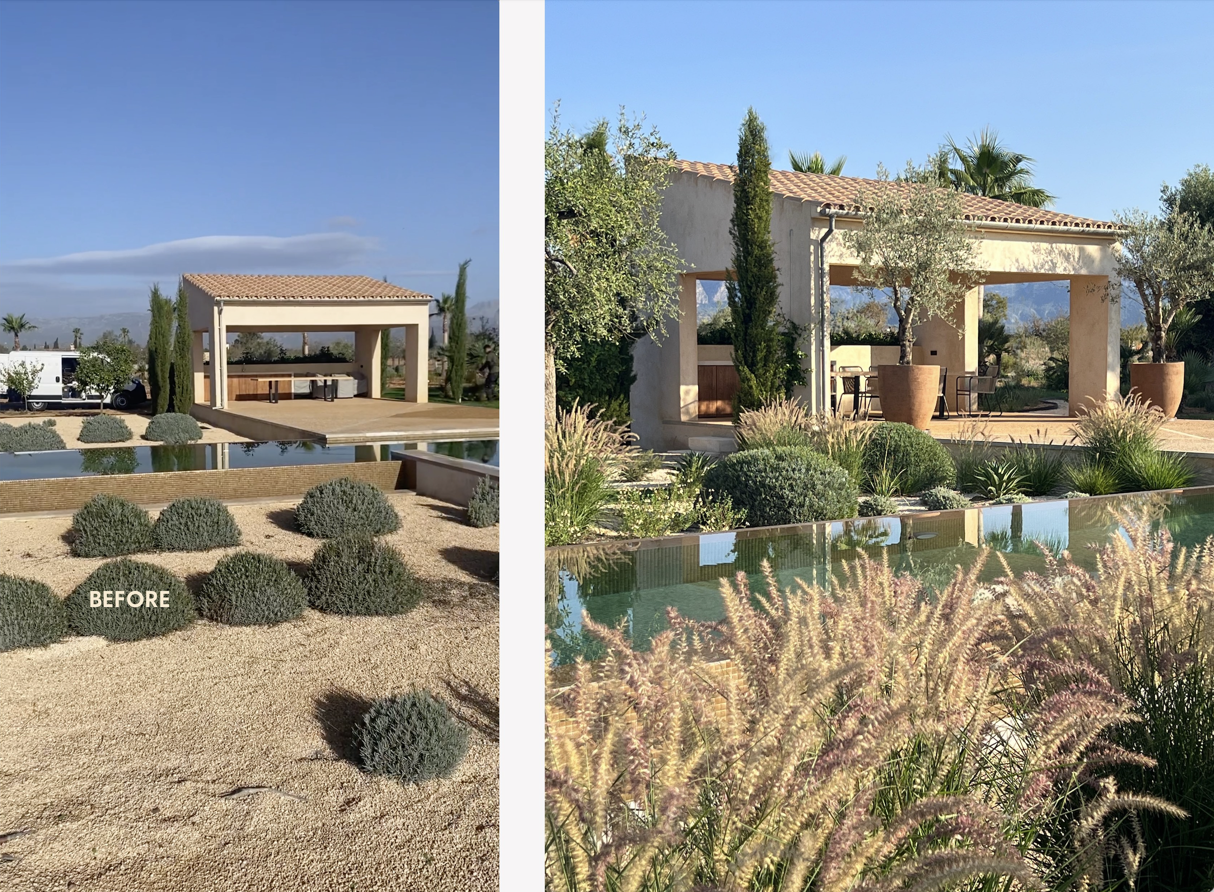 Before and after garden transformation around infinity pool