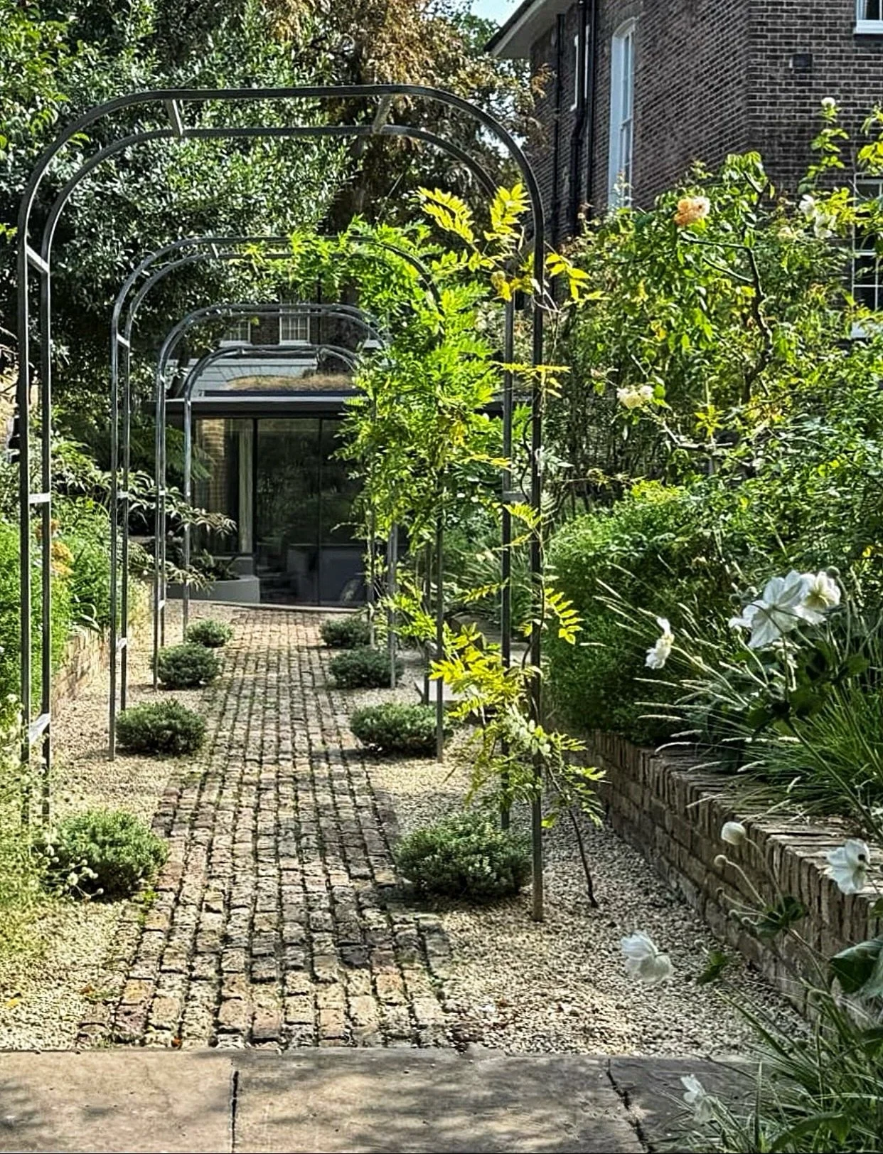 The first summer scenes from our recently installed London Town garden in the UK for a lovely family with young children that likes natural planting. A Victorian grade II home with not only native plants but also those from around the world. This fal