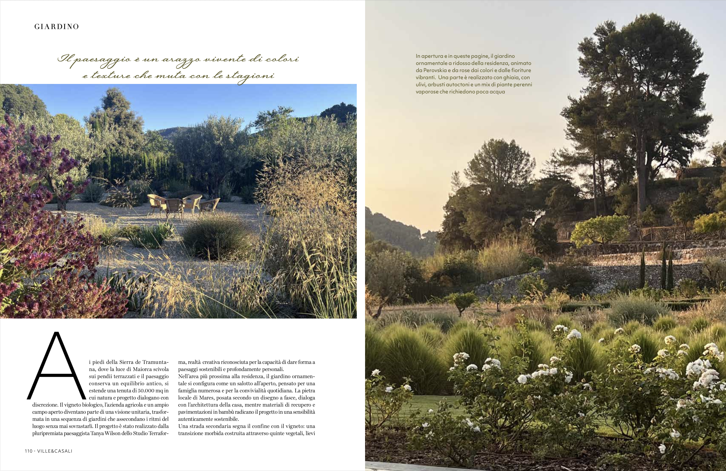 Natural wicker seating area in dry gravel garden of olive trees, ornamental grasses and Mediterranean perennials