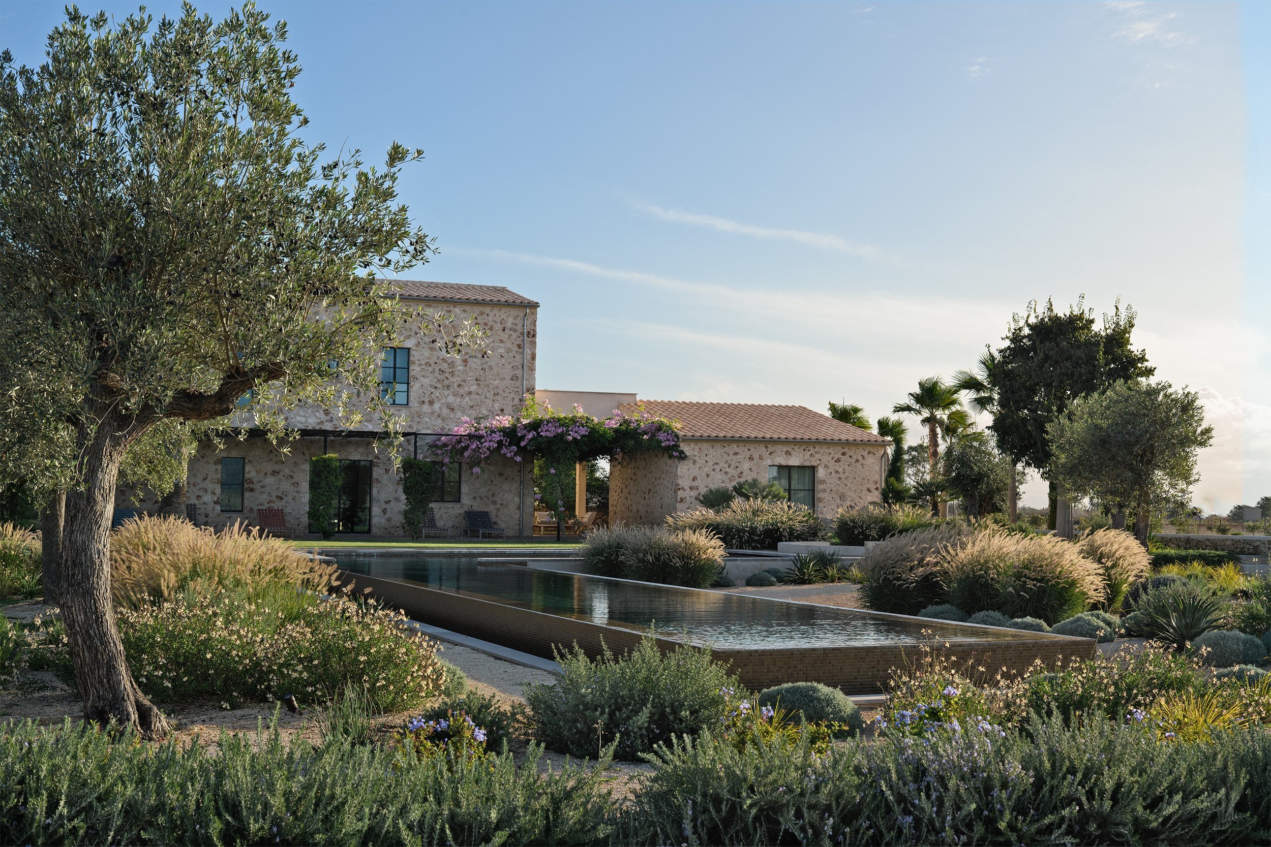 Mediterranean pool garden with infinity pool and dry garden of mediterranean plants