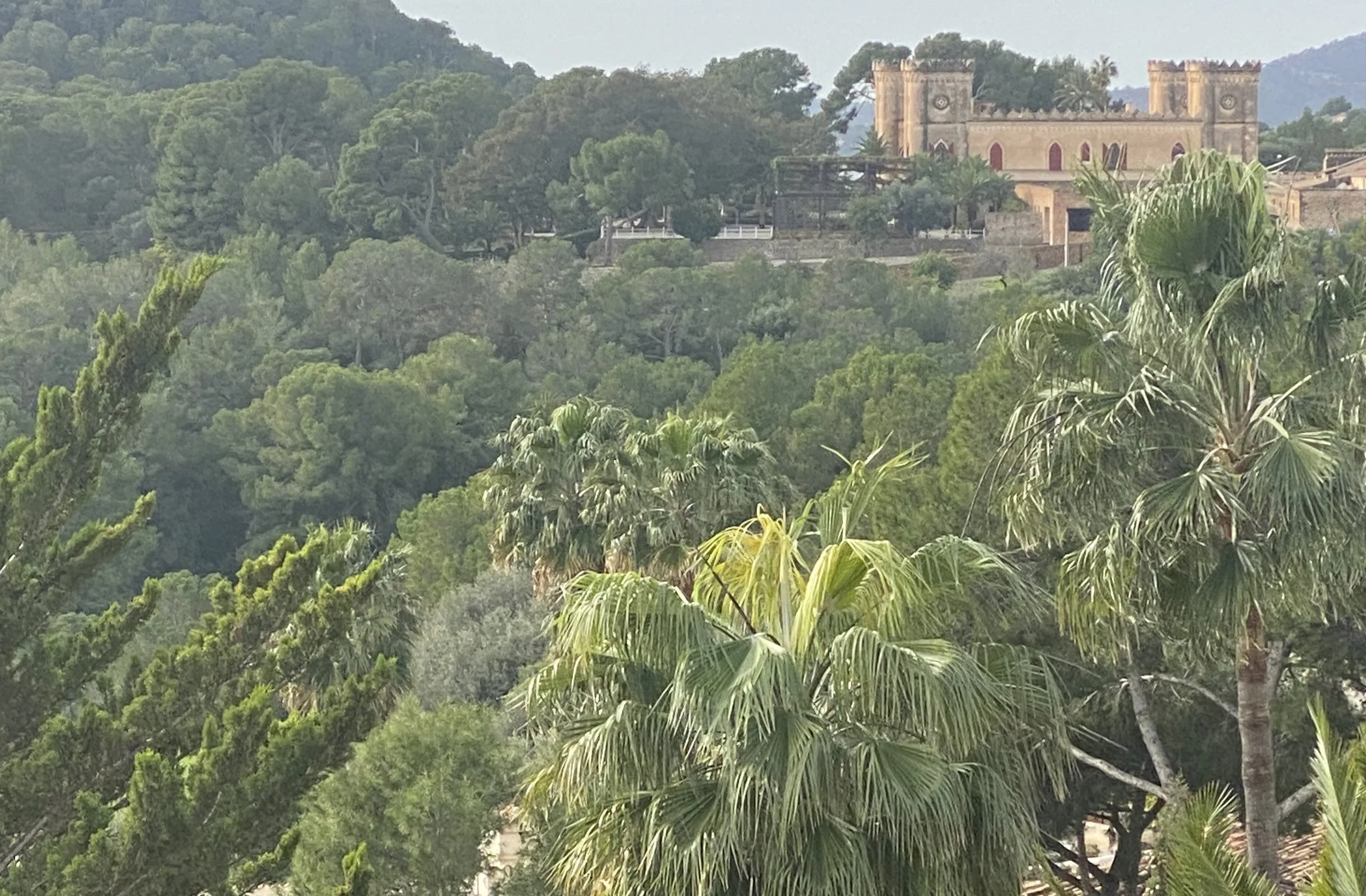 View to Castillo de Bendinat