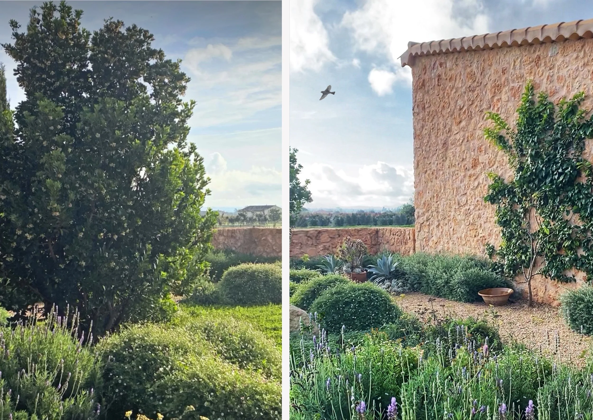 Courtyard gravel garden with natural lawn