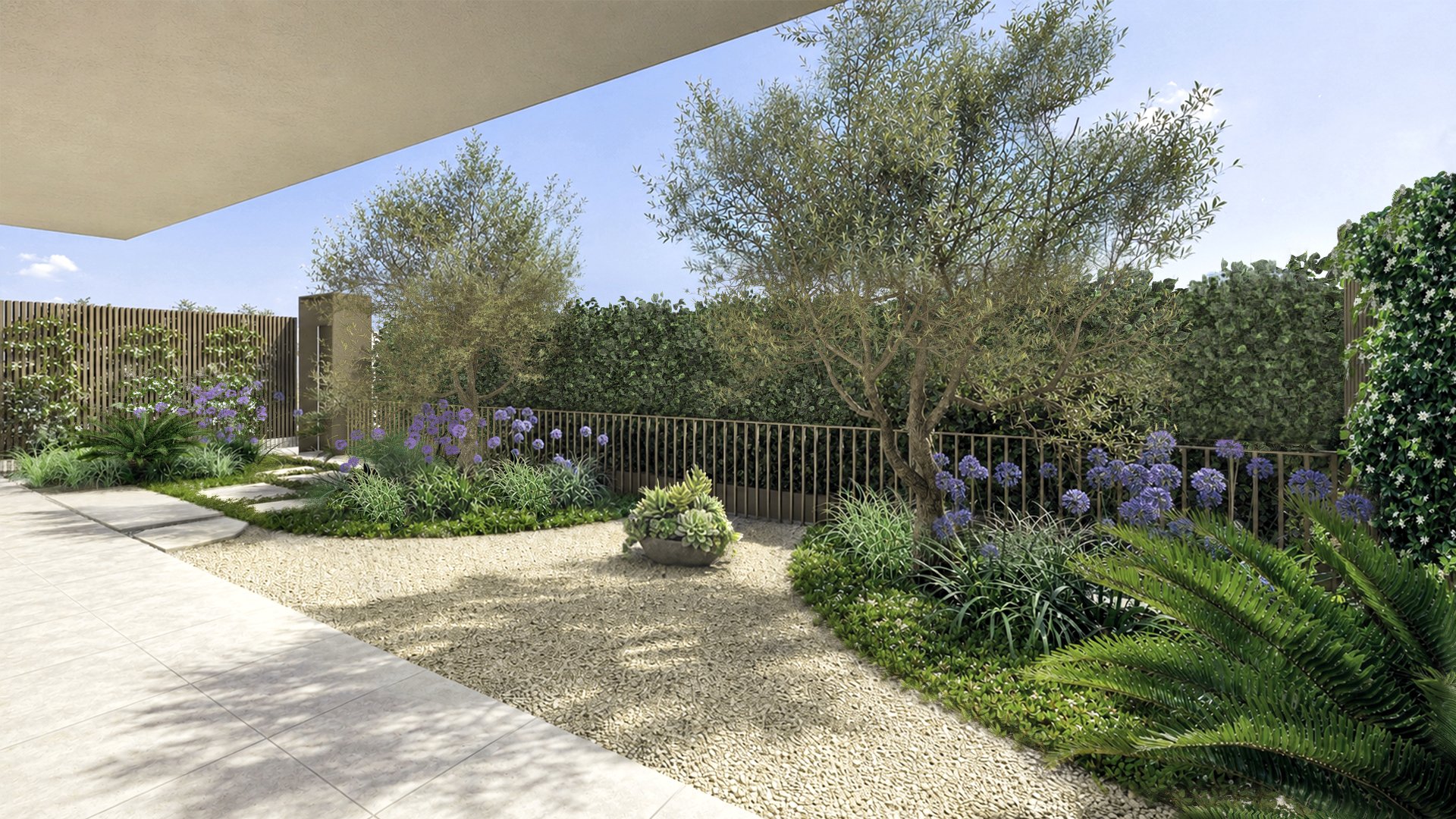 Small garden design with olive trees and gravel.jpg