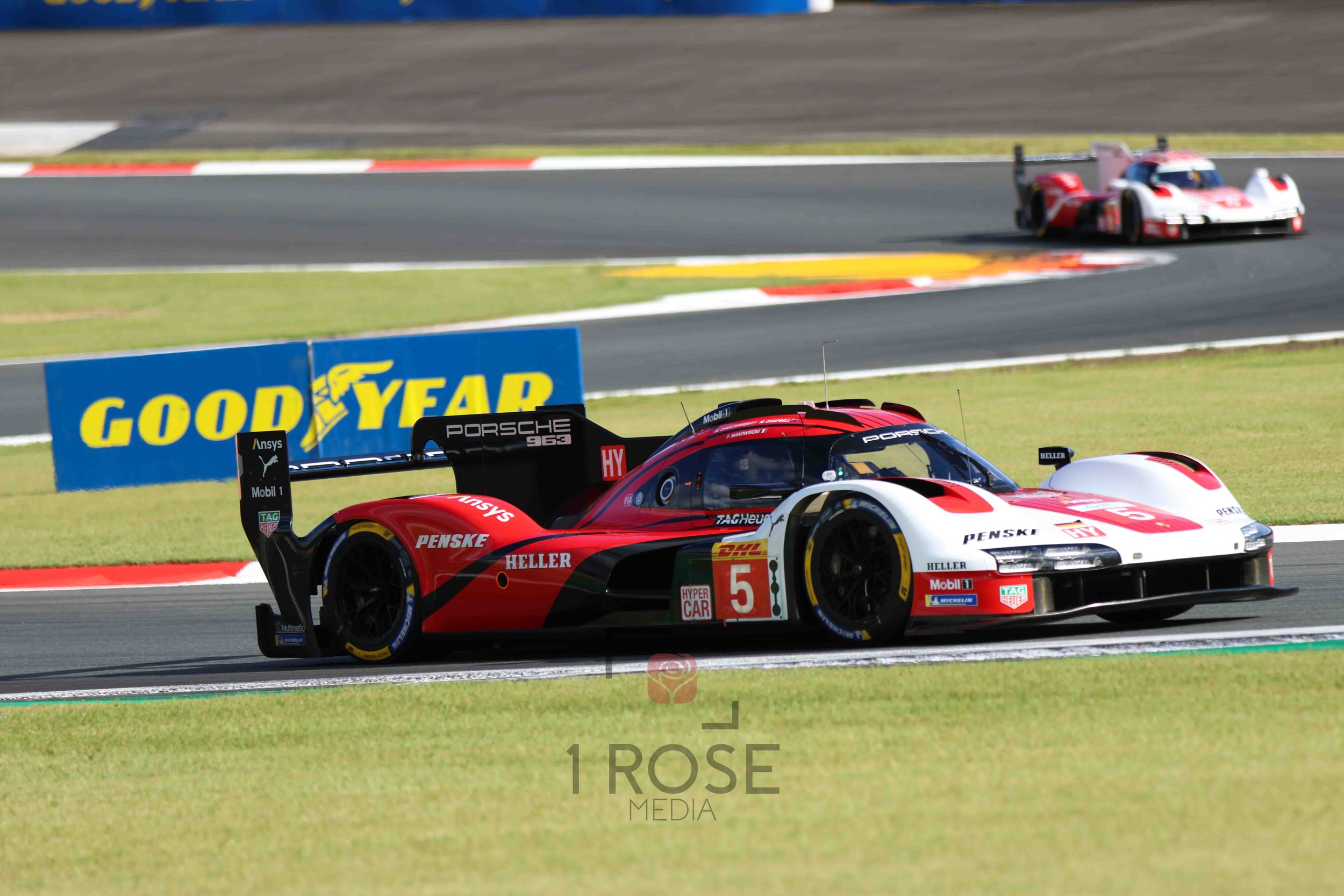 WEC-Fuji-2024-17.jpg
