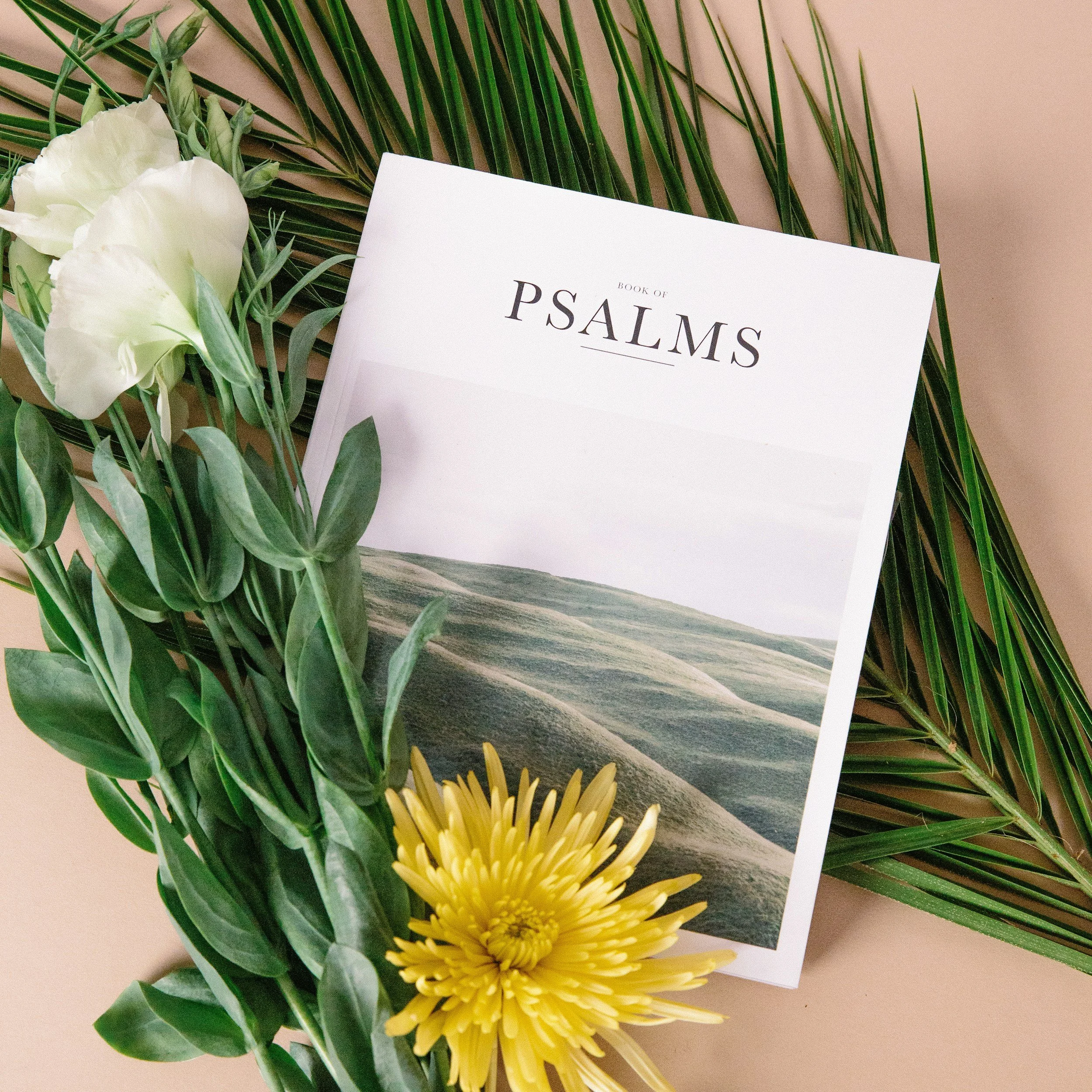 Only Two Ways: Foundations for Understanding the Psalms- Psalm 1