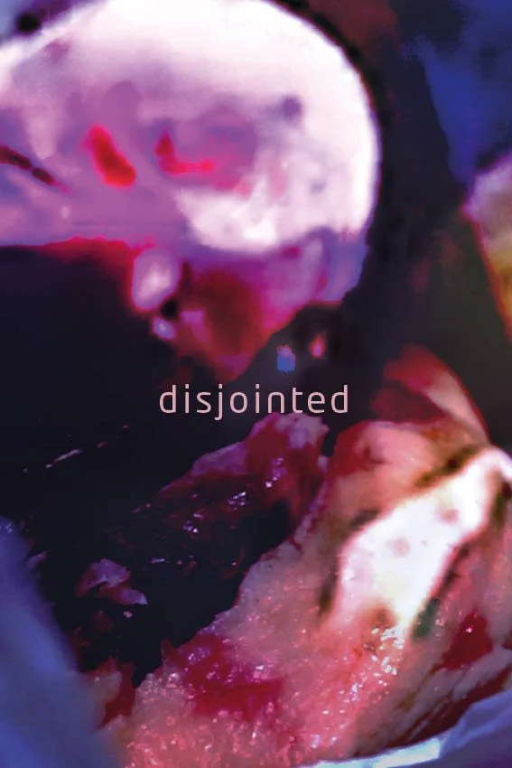 disjointed-poster.jpg
