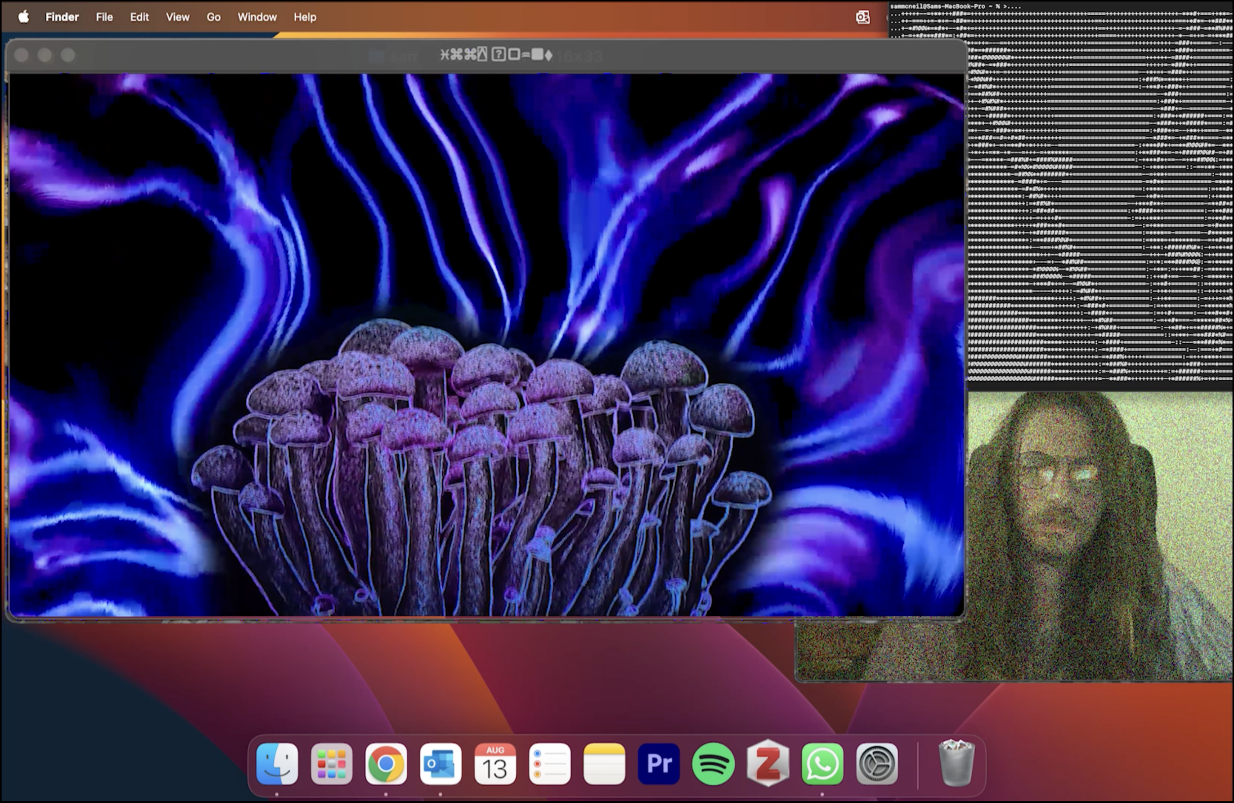 >DiGi-Fungal_Bitr0t