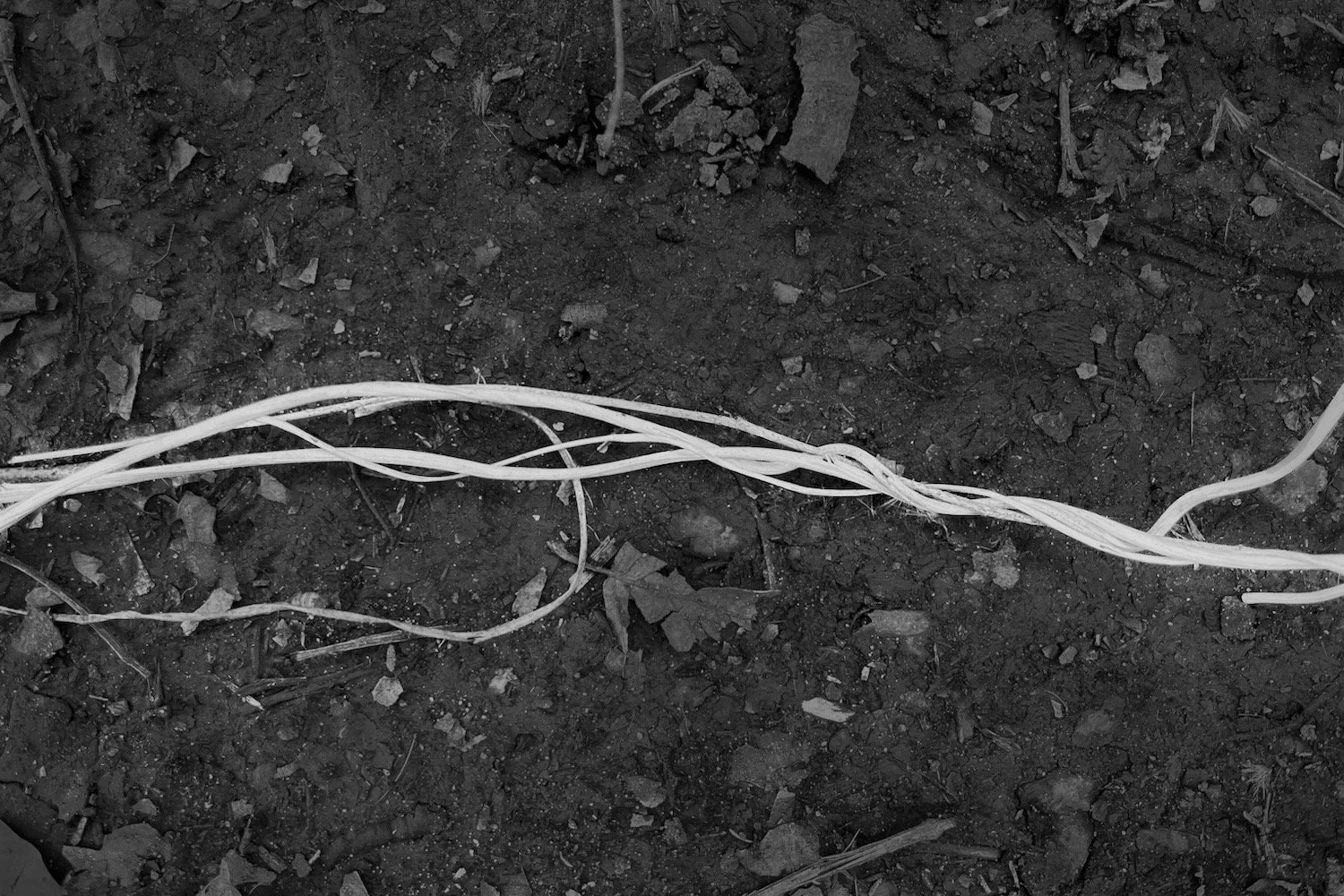 Unwintering