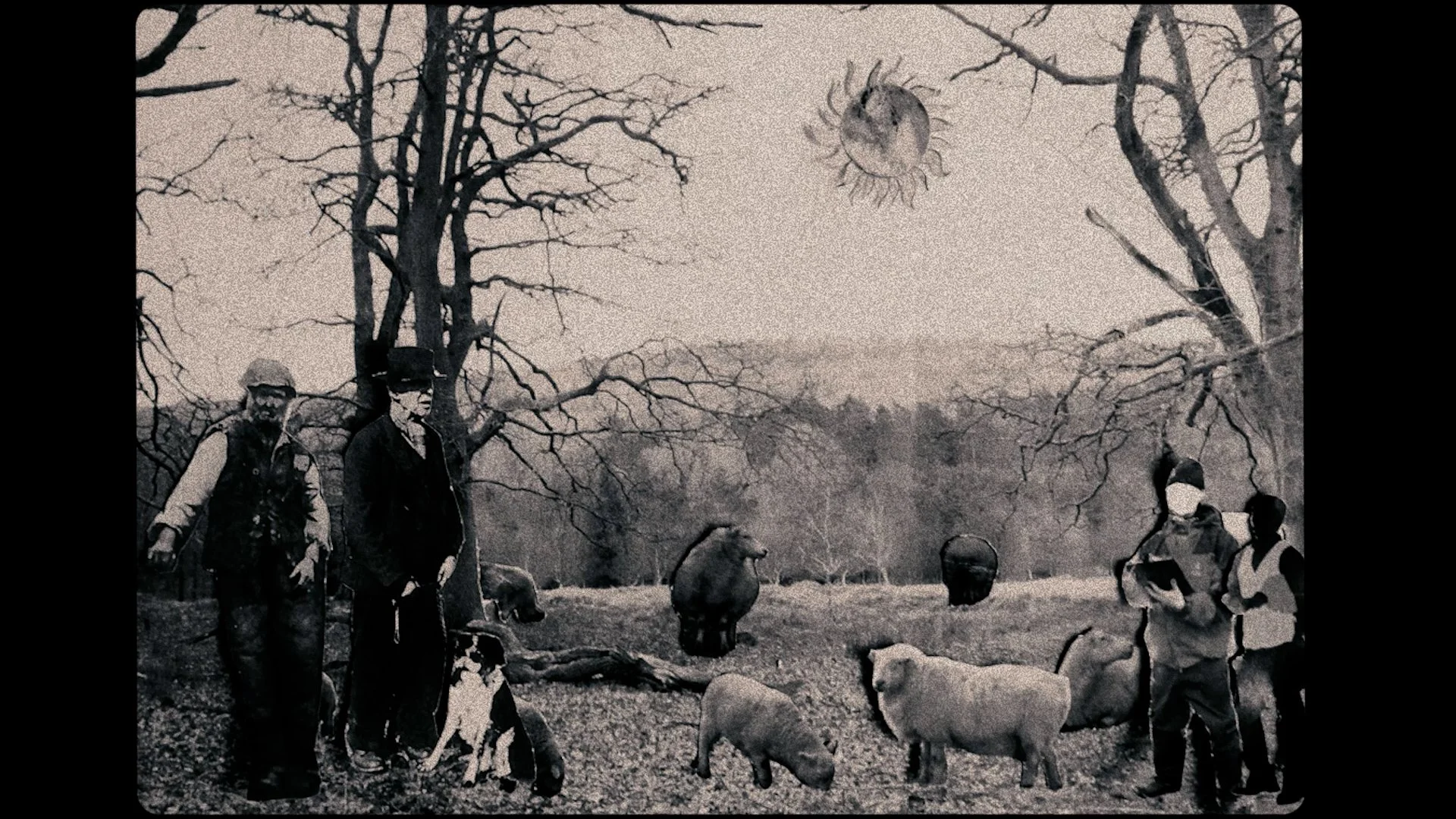 The Badgers