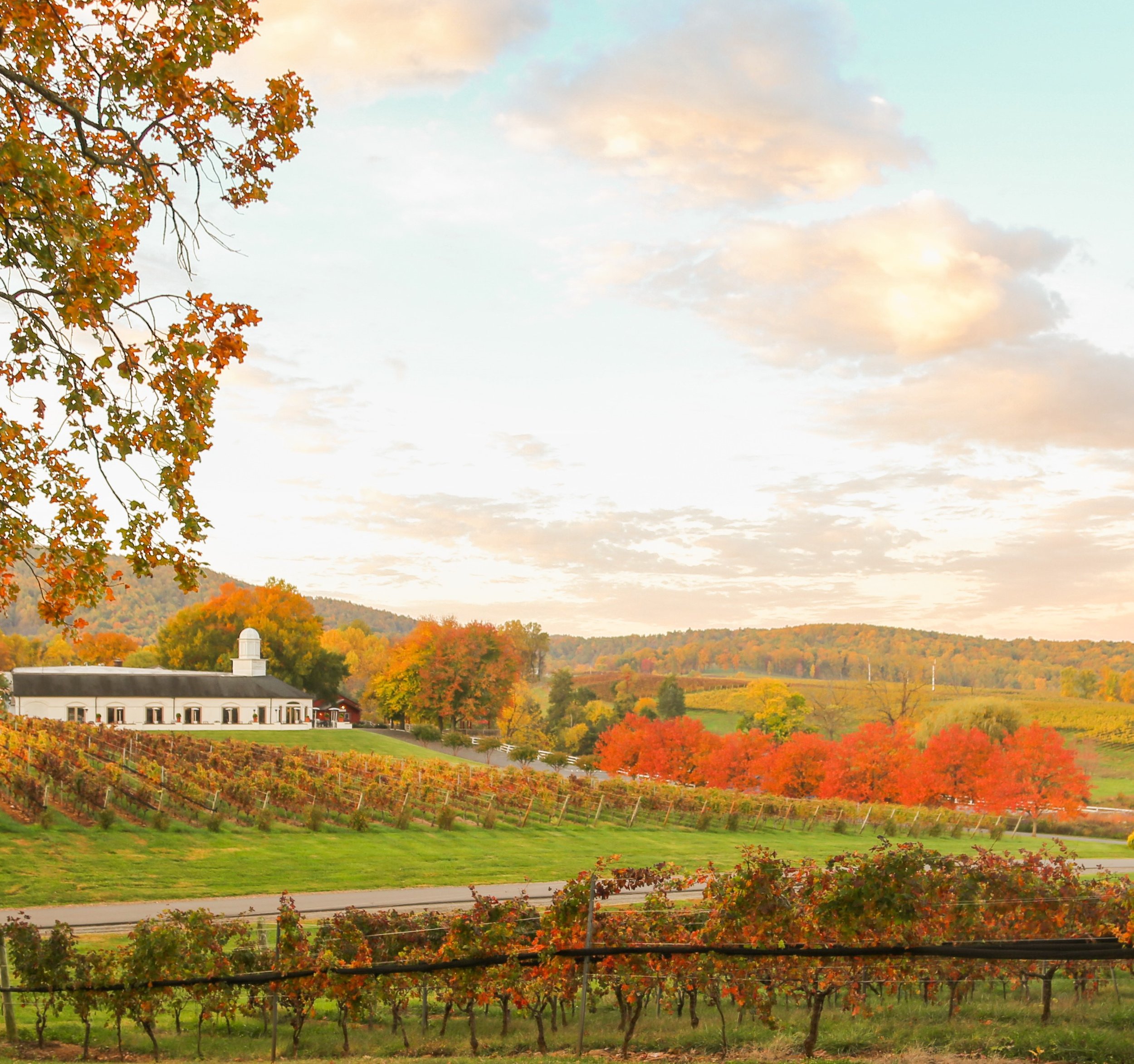fall%202023%20winery%20crop.jpg