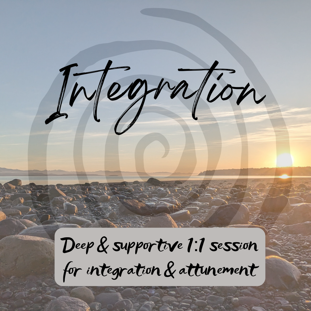 Integration (30 minutes)