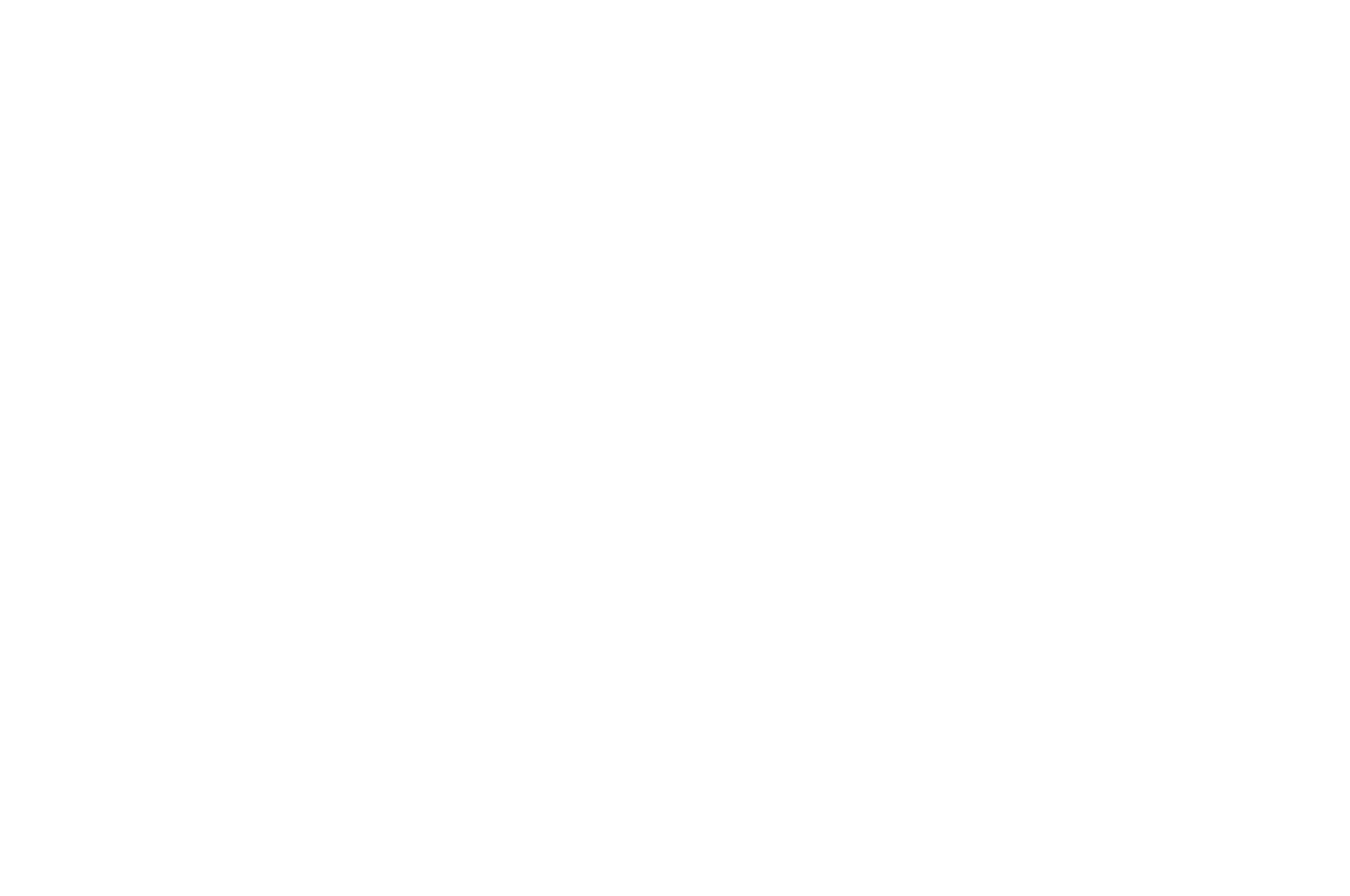 Quarter-Finalist - SWN Screenplay Competition - 2021.png