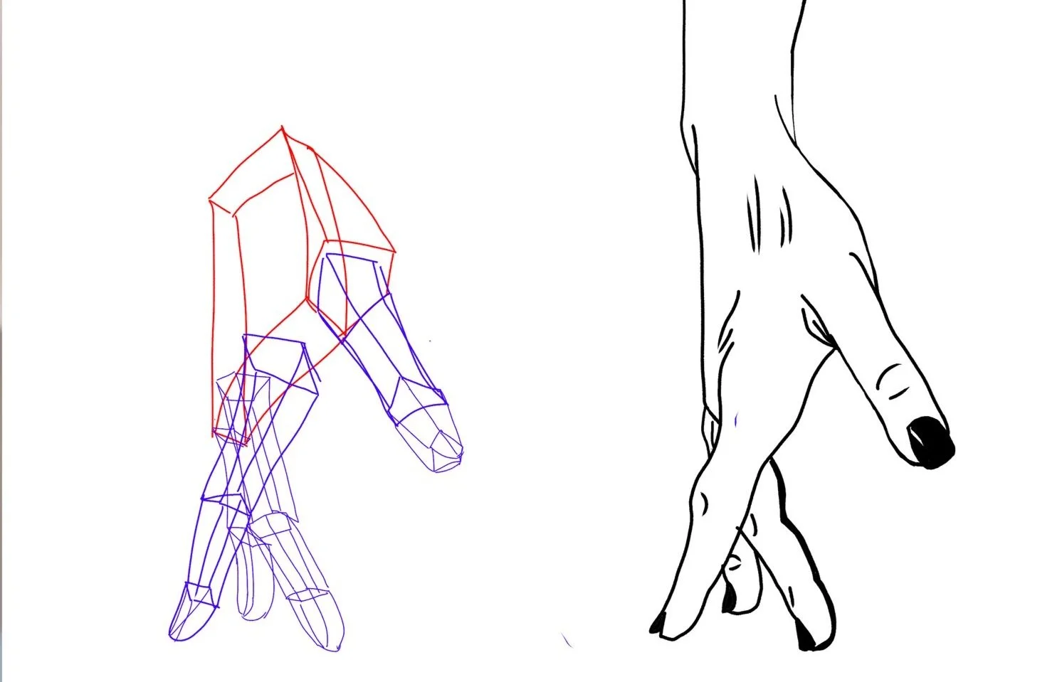 Sketches and Studies