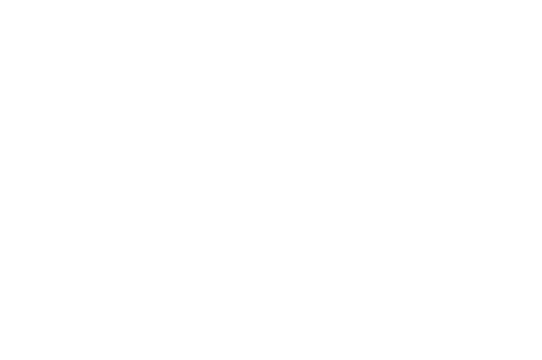 Finalist - Wiki The Worlds Fastest Screenplay Contest - 2023 (1).png