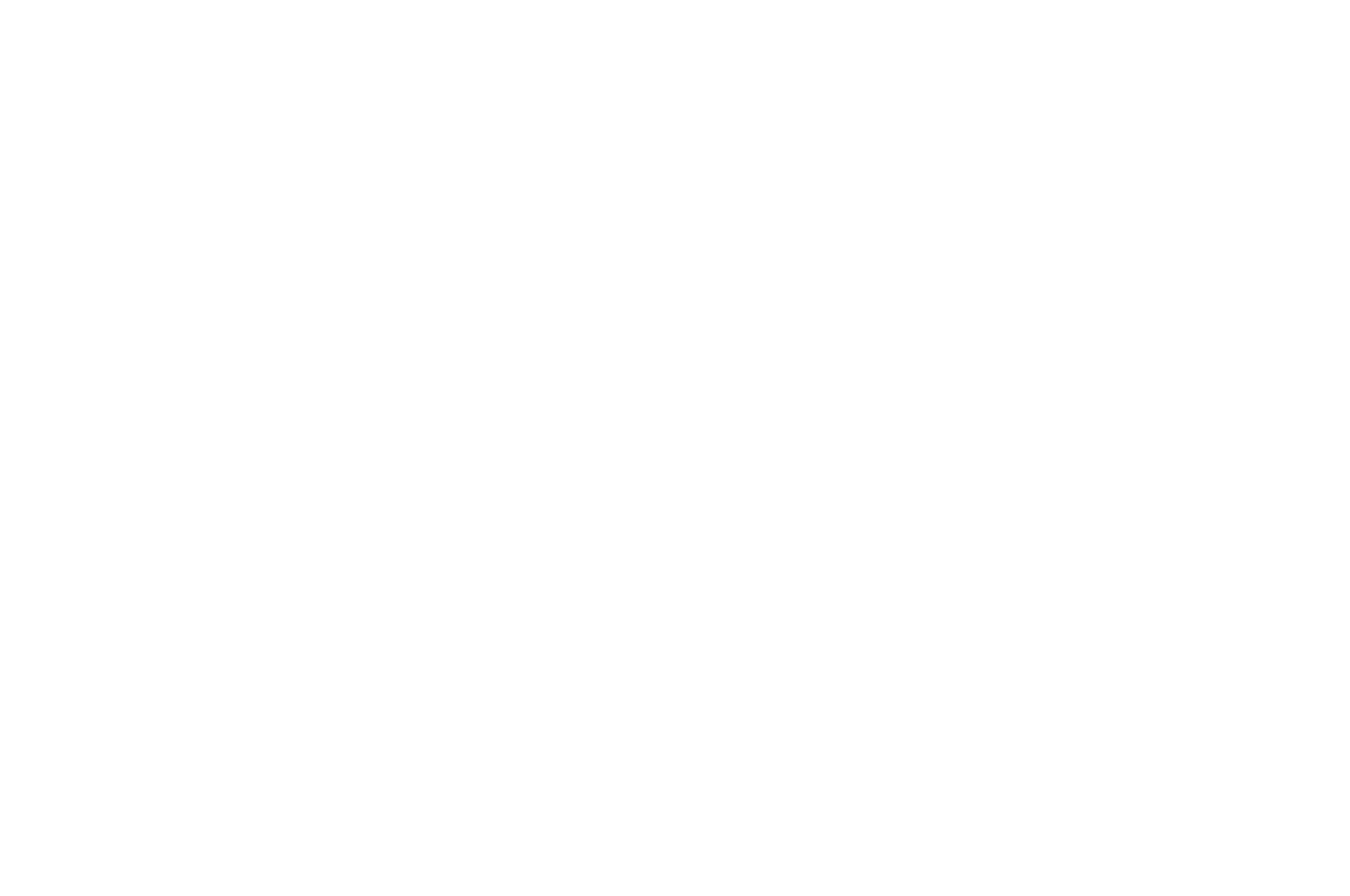 OFFICIAL SELECTION - Austin Spotlight Film Festival - 2023.png