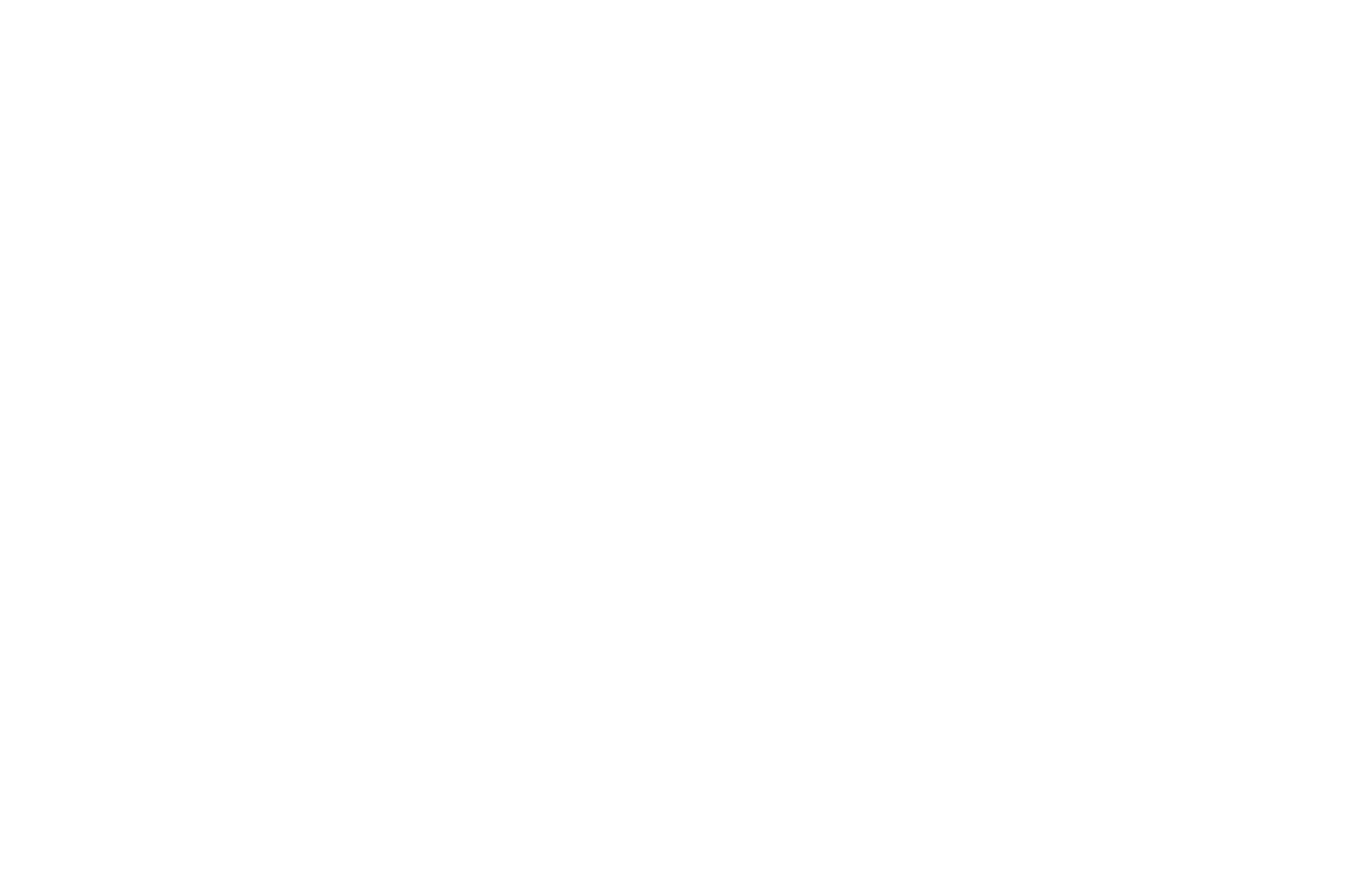 Silver Award for Best Horror Short - Spotlight Horror Film Awards - 2017.png