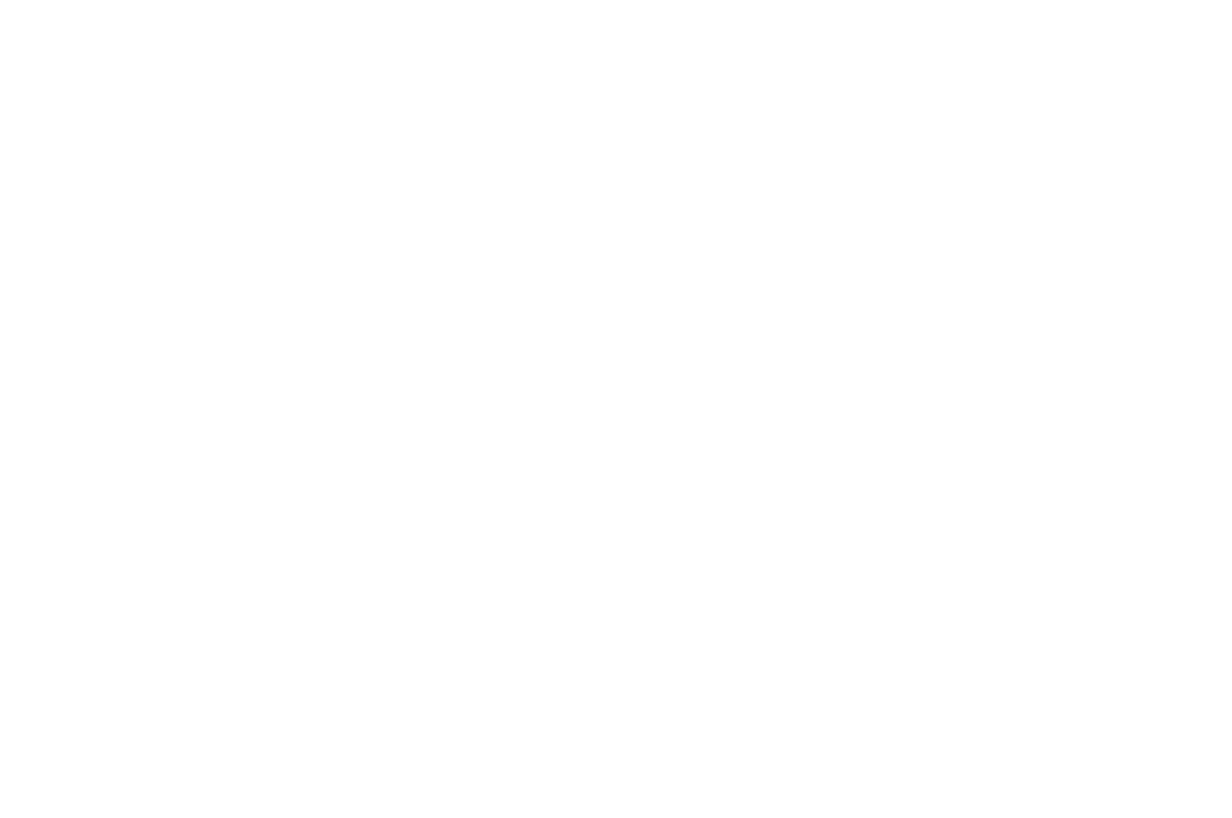 Quarter-Finalist - Atlanta Film Festival Screenplay Competition - 2019.png