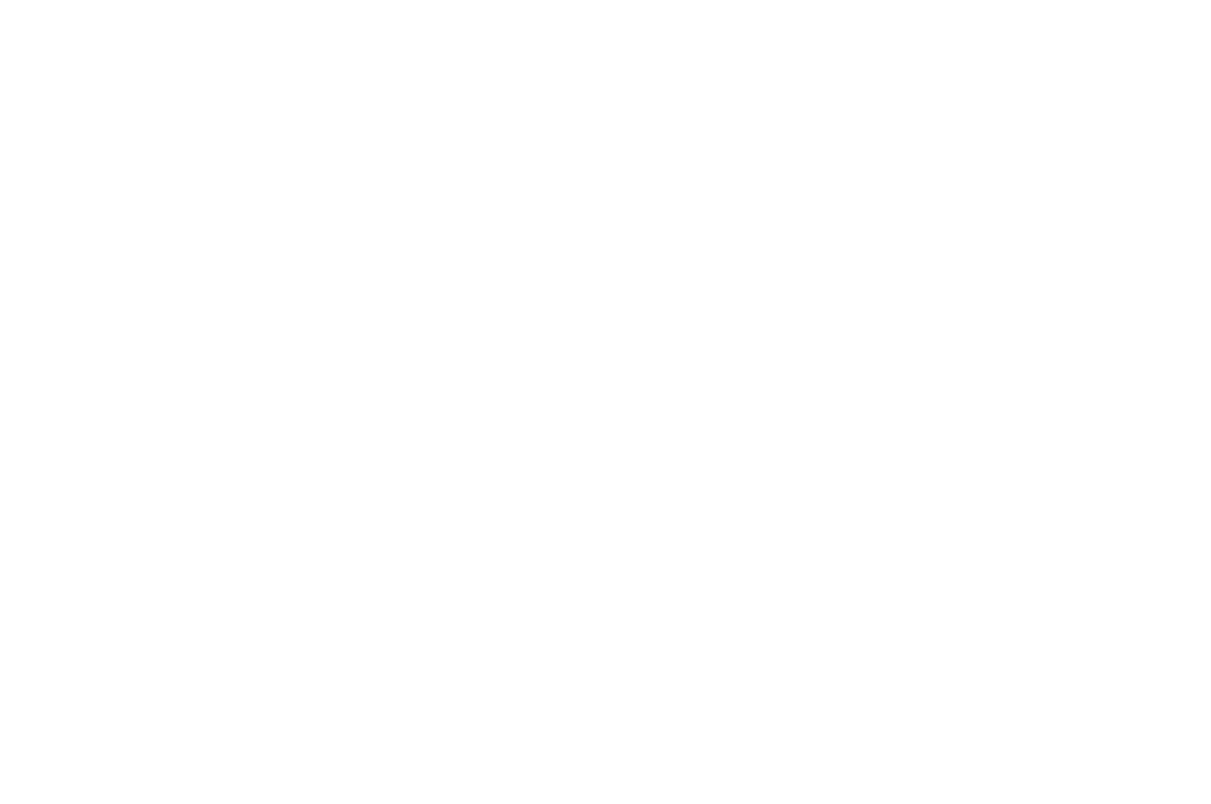 OFFICIAL SELECTION - Sydney World Fest 2023-2024 - 2023.png