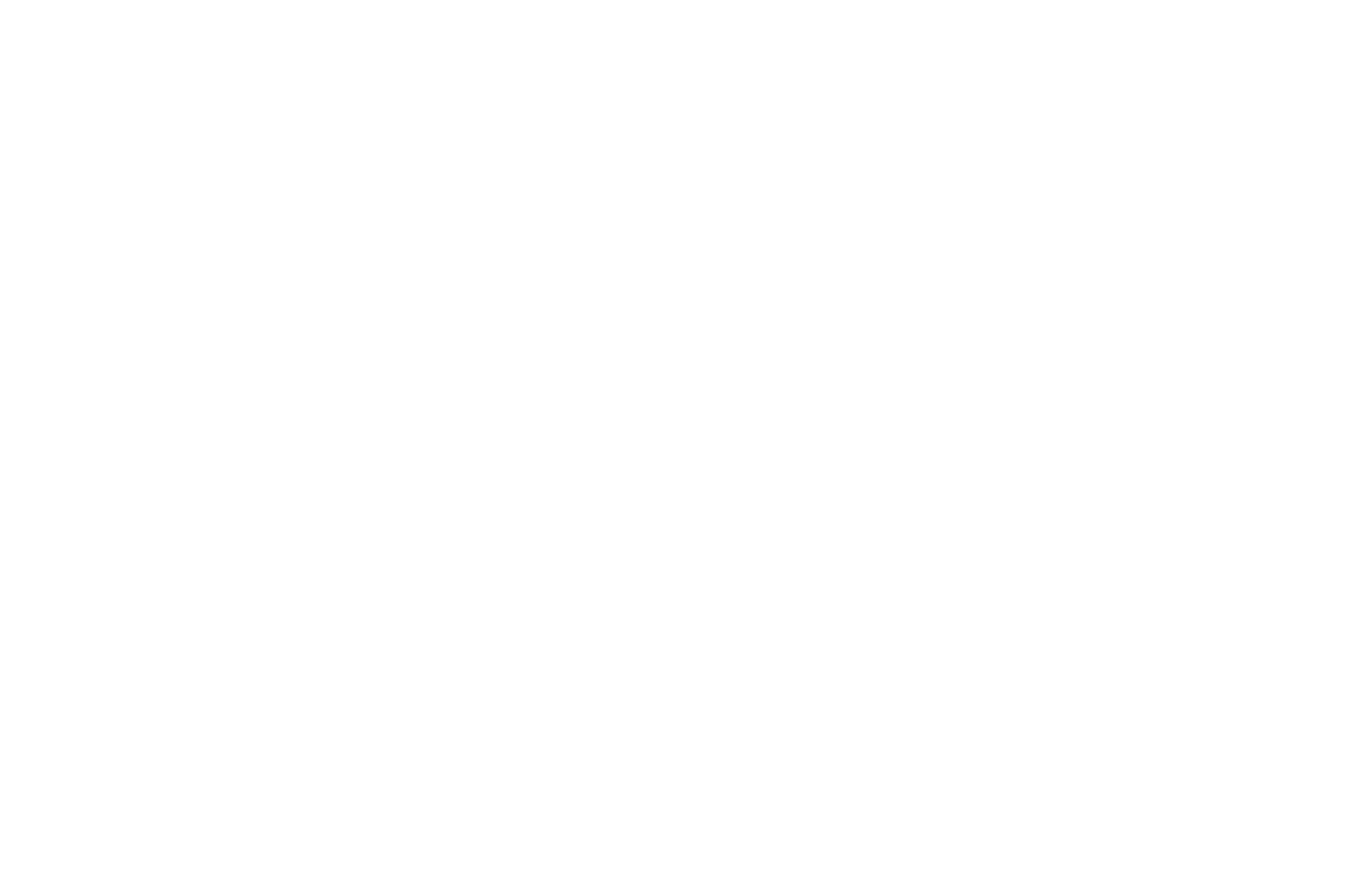 Best Micro-Short - Videoscream International Film Festival - 2019.png