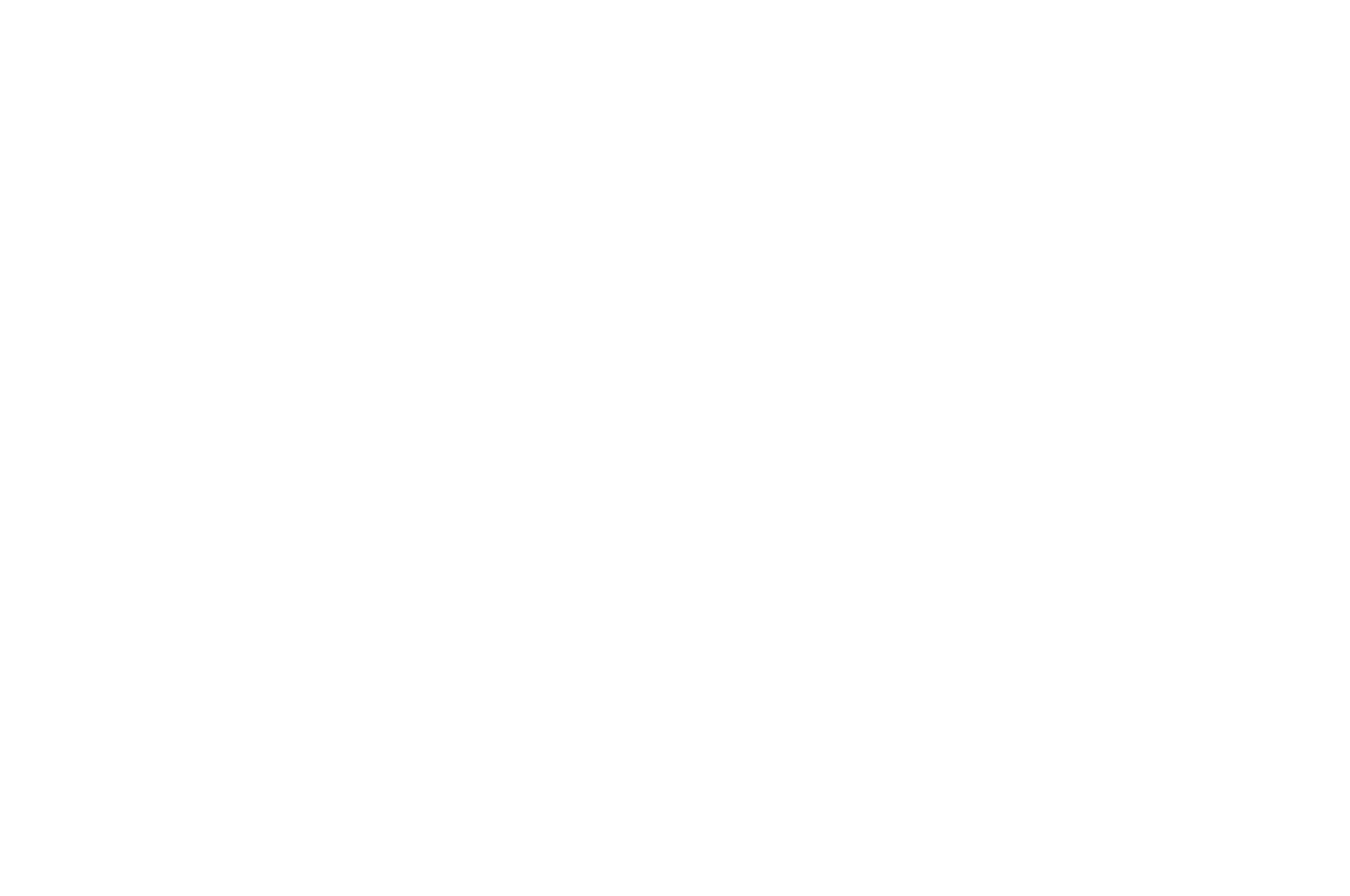 Semi-Finalist - Script Awards Los Angeles - 2019.png