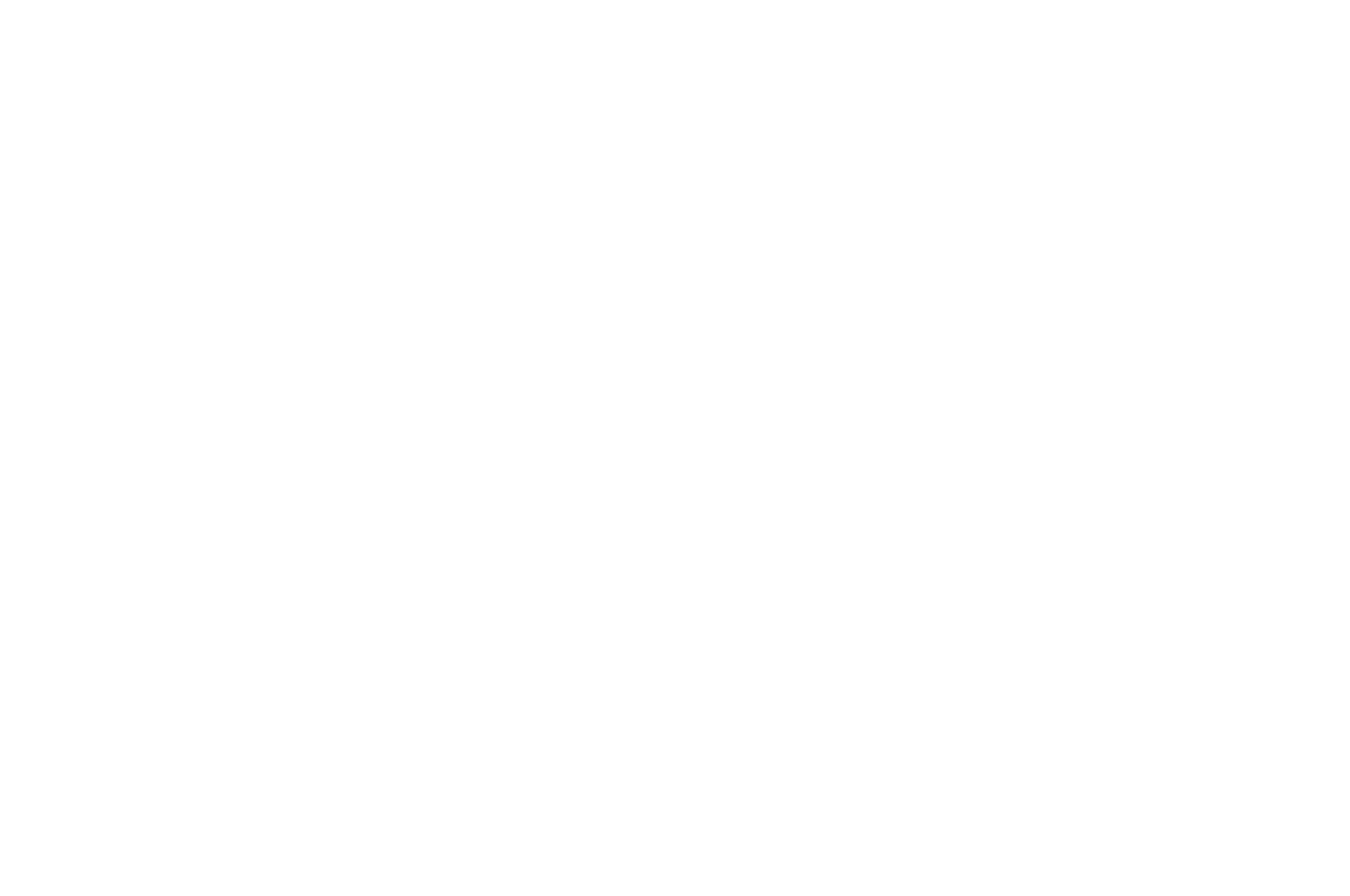 Finalist - 100 Screenplays Competition - 2023.png