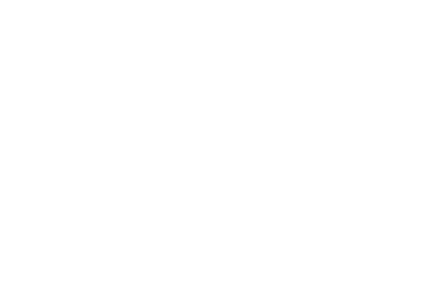 Finalist - Santa Barbara International Screenplay Awards - 2023.png