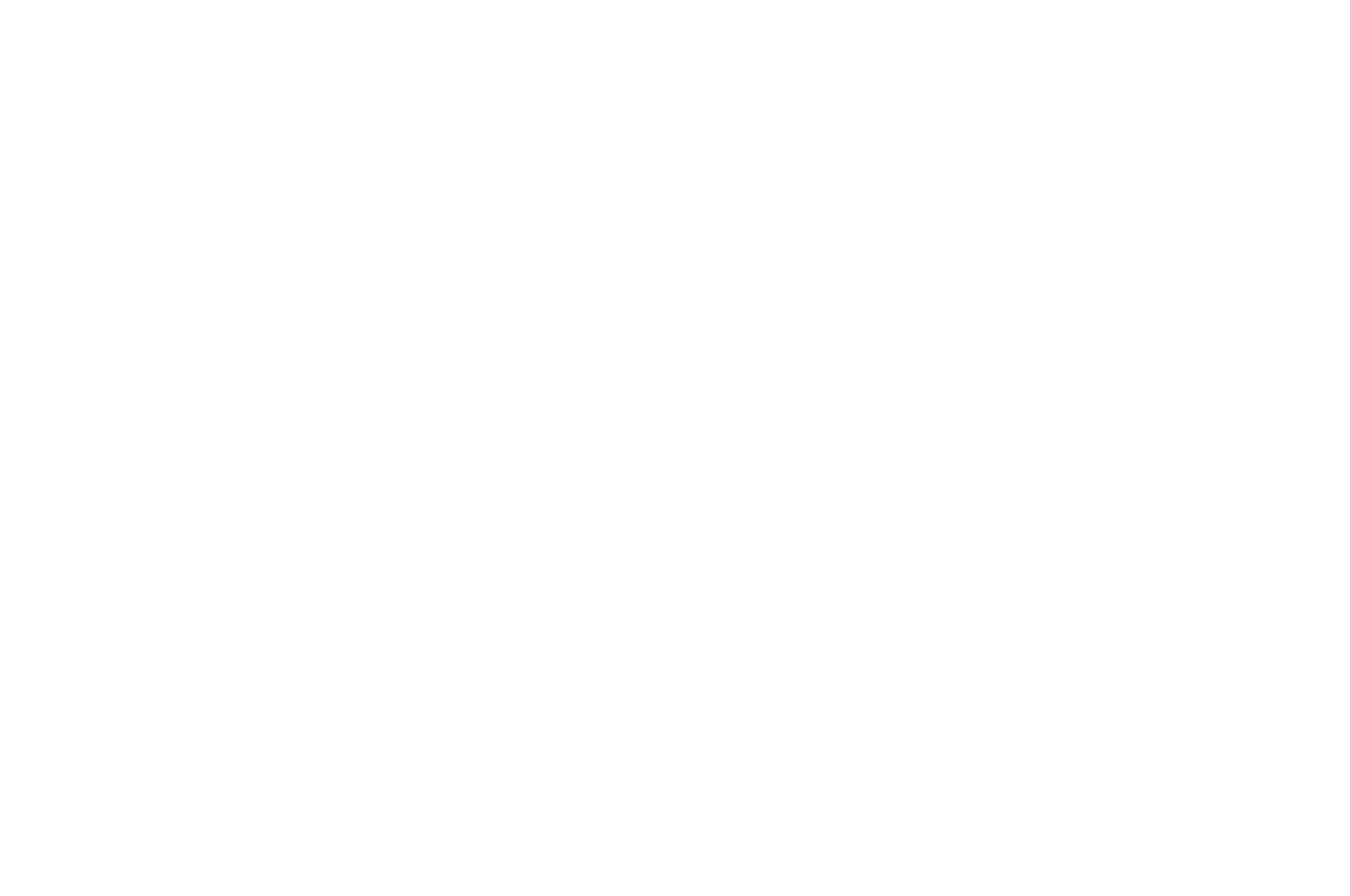 Finalist - Filmmatic Drama Screenplay Awards - 2018.png