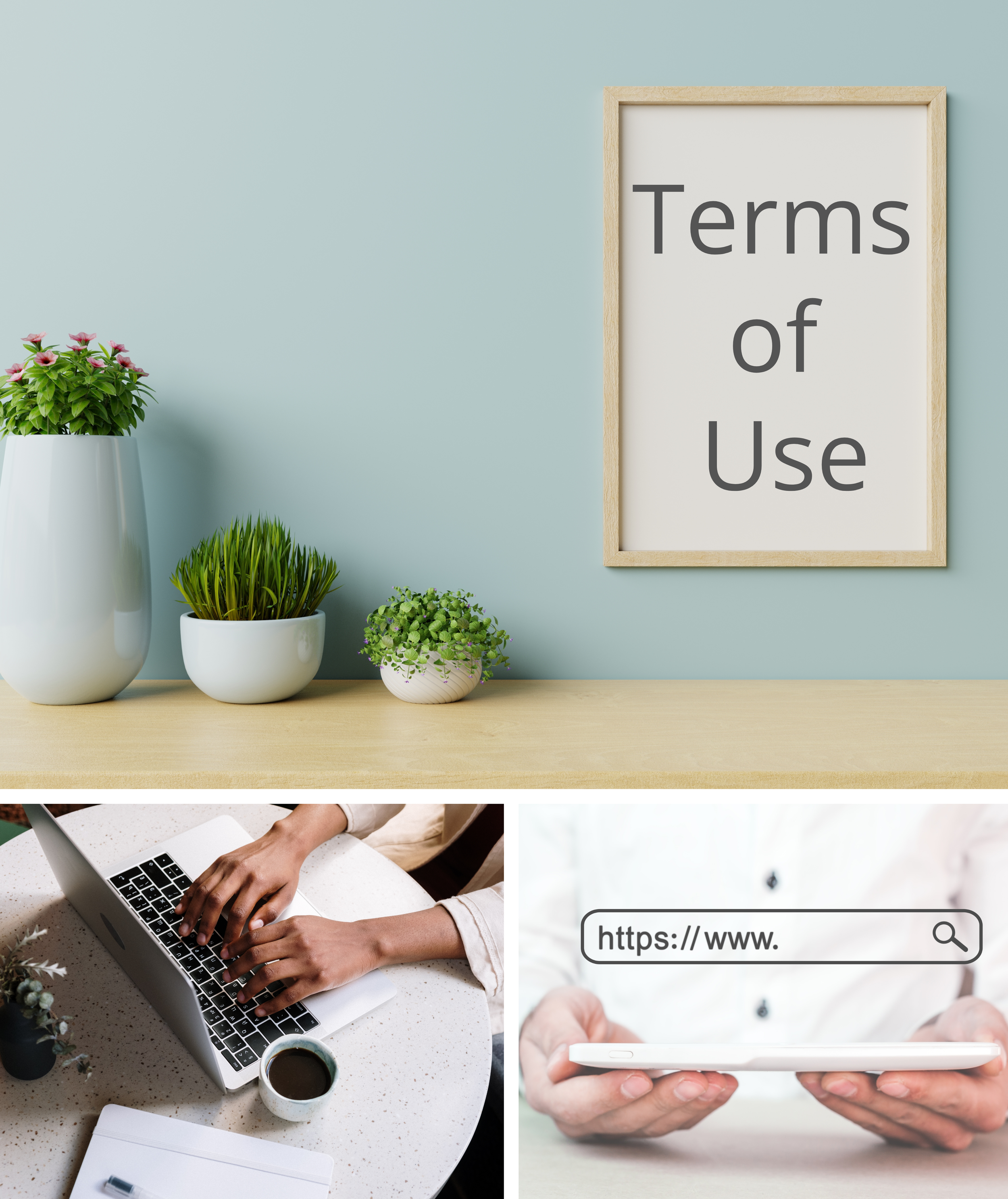 Terms of Use sign with desk and plants