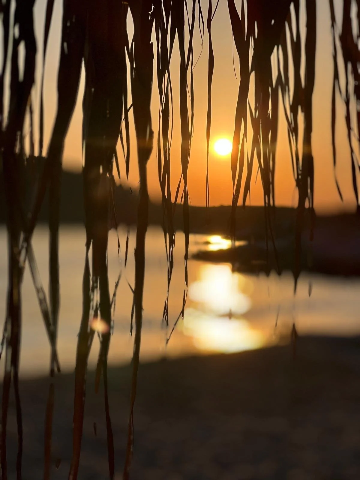 WhatsApp Image 2025-11-10 at 16.05.08(1).jpeg