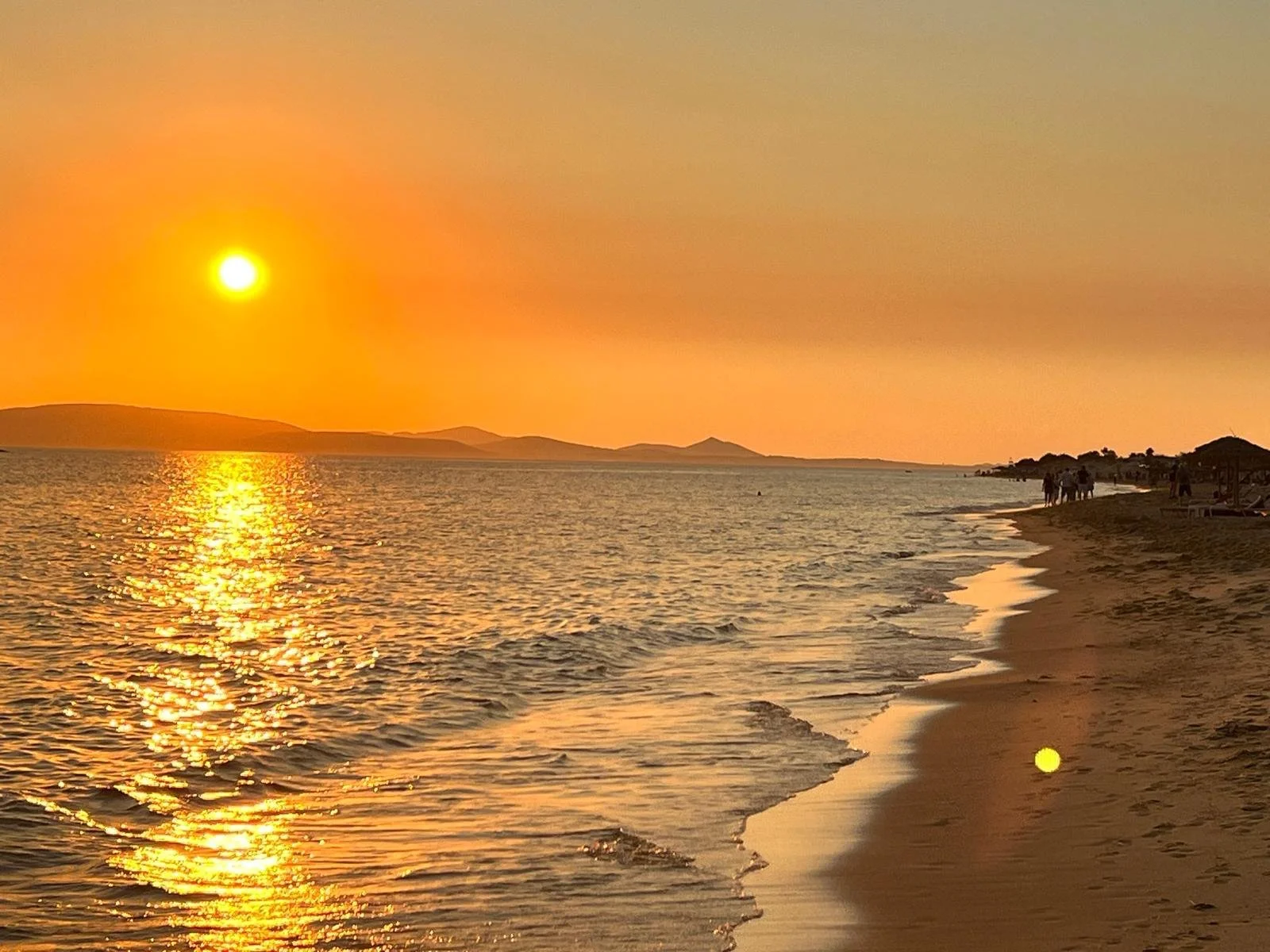 WhatsApp Image 2025-11-10 at 16.11.33.jpeg