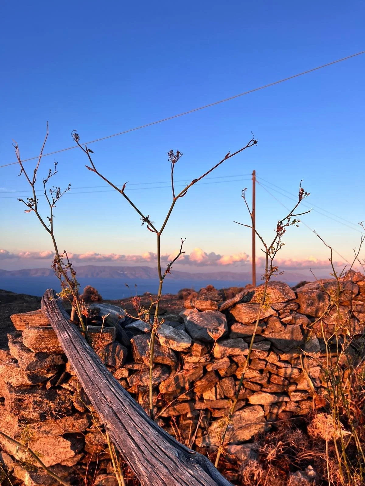 WhatsApp Image 2025-11-10 at 15.52.12(6).jpeg