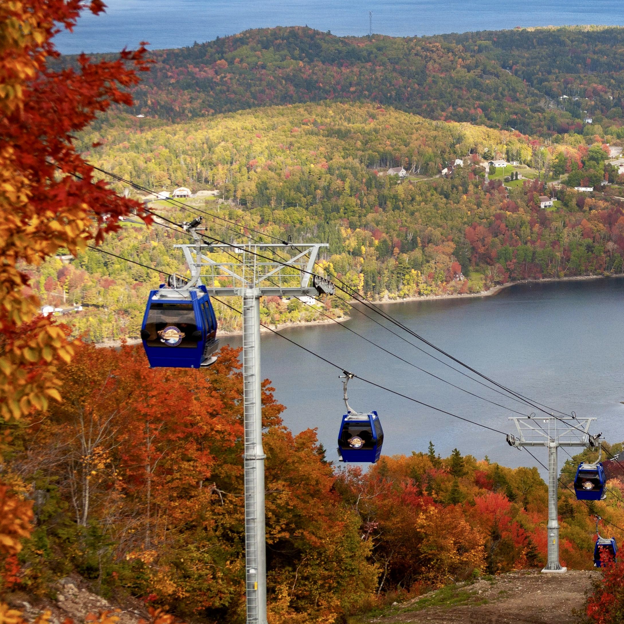 Year-round Gondola Rides