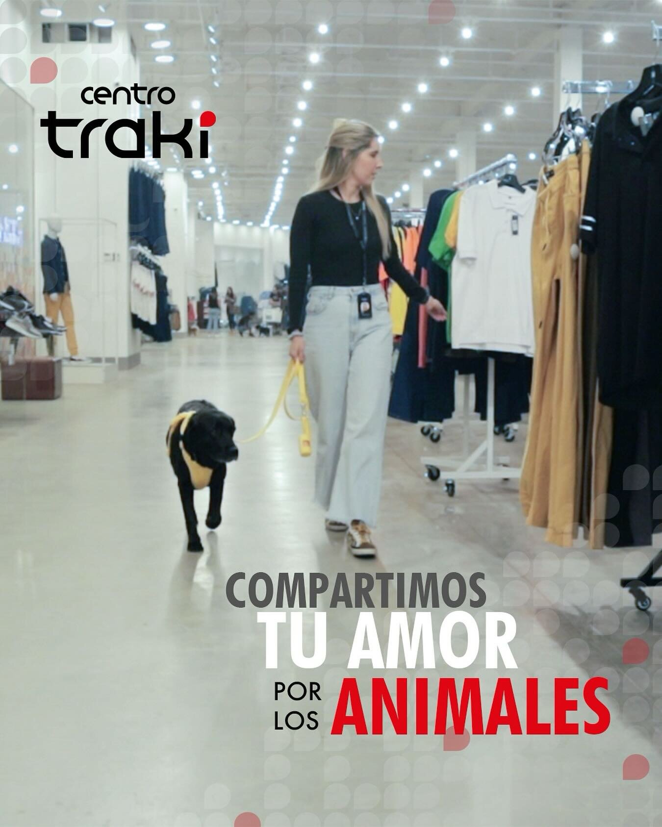 Sabemos lo importante que es para ti compartir momentos especiales con tu mascota, por eso &iexcl;Puedes traerla cuando visites nuestros espacios! 🐶🐱

📍Cuman&aacute;&nbsp;@centrotrakicumana
📍Valle la Pascua&nbsp;@centrotrakivdlp
📍Apure&nbsp;@cen