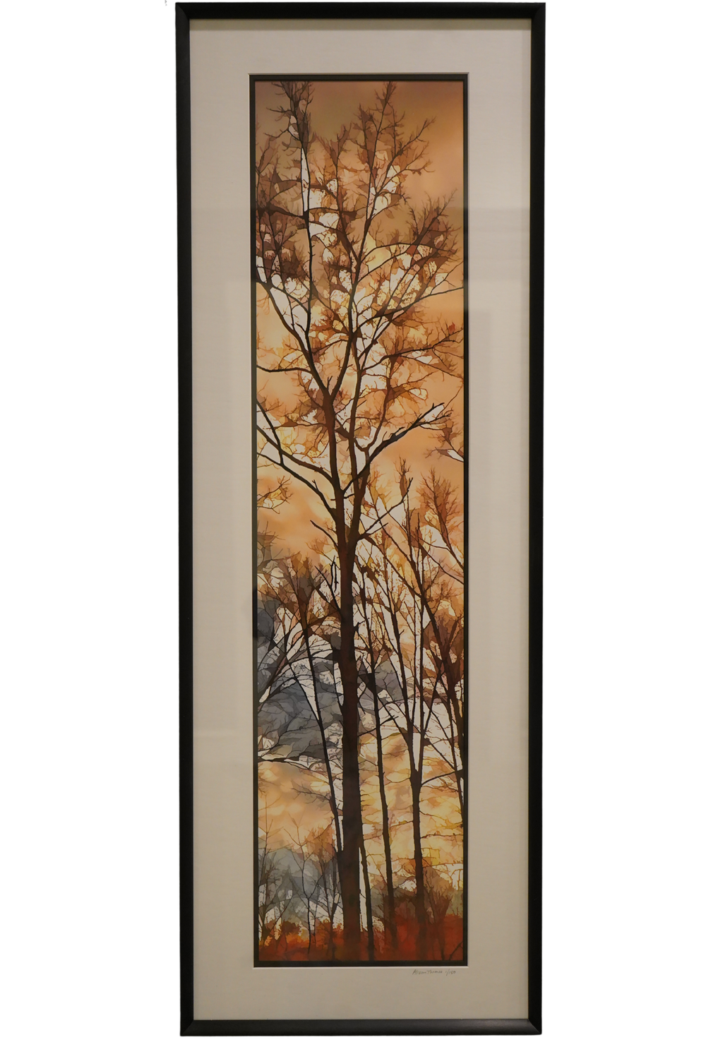 After the Rain by Alison Thomas