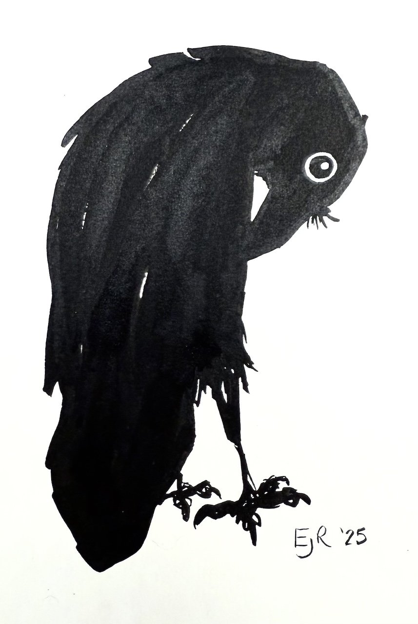 Preening by Erin Robinson