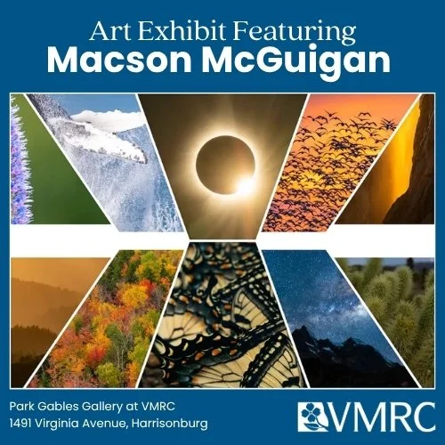 Art Exhibit