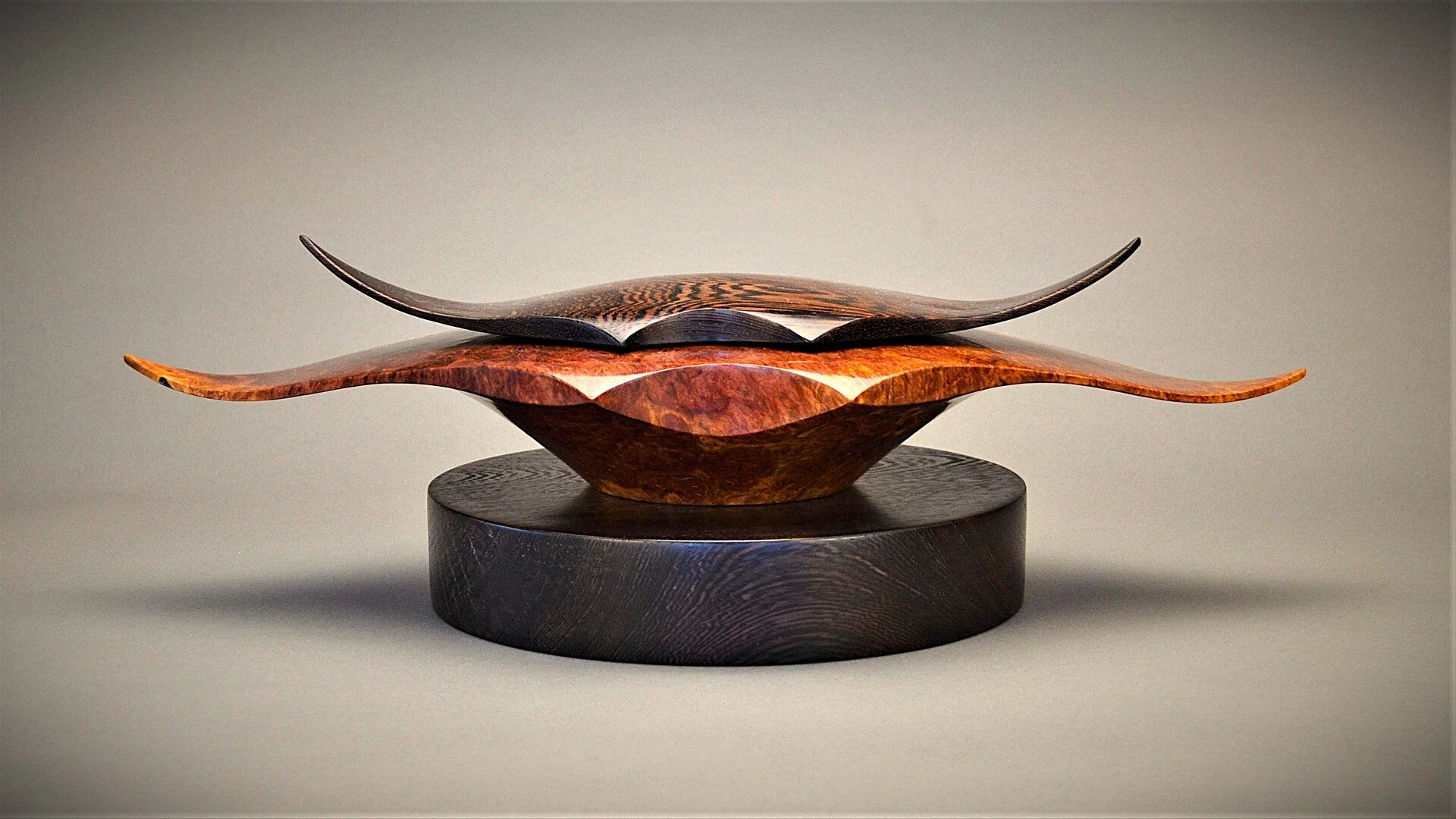Michael Sorge
Manta Ray Box