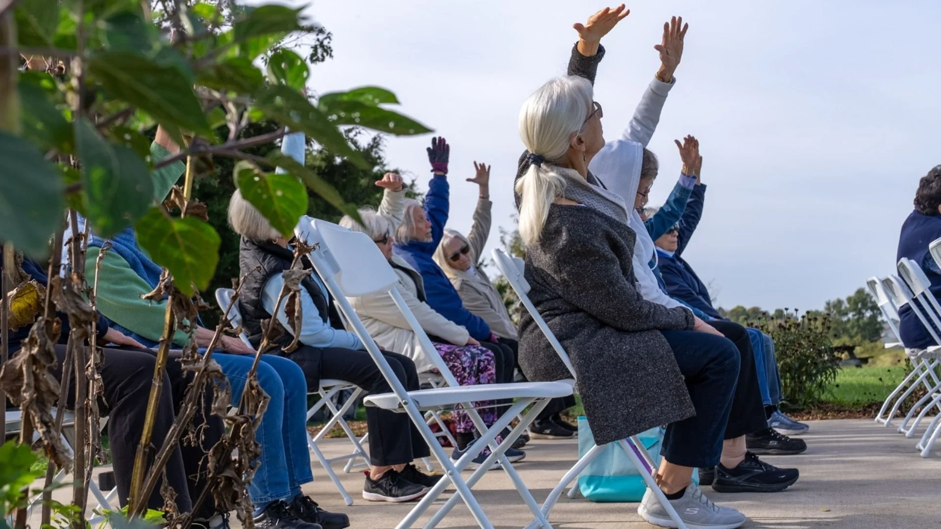 Yoga at the Farm - SPLASH - Website.jpg