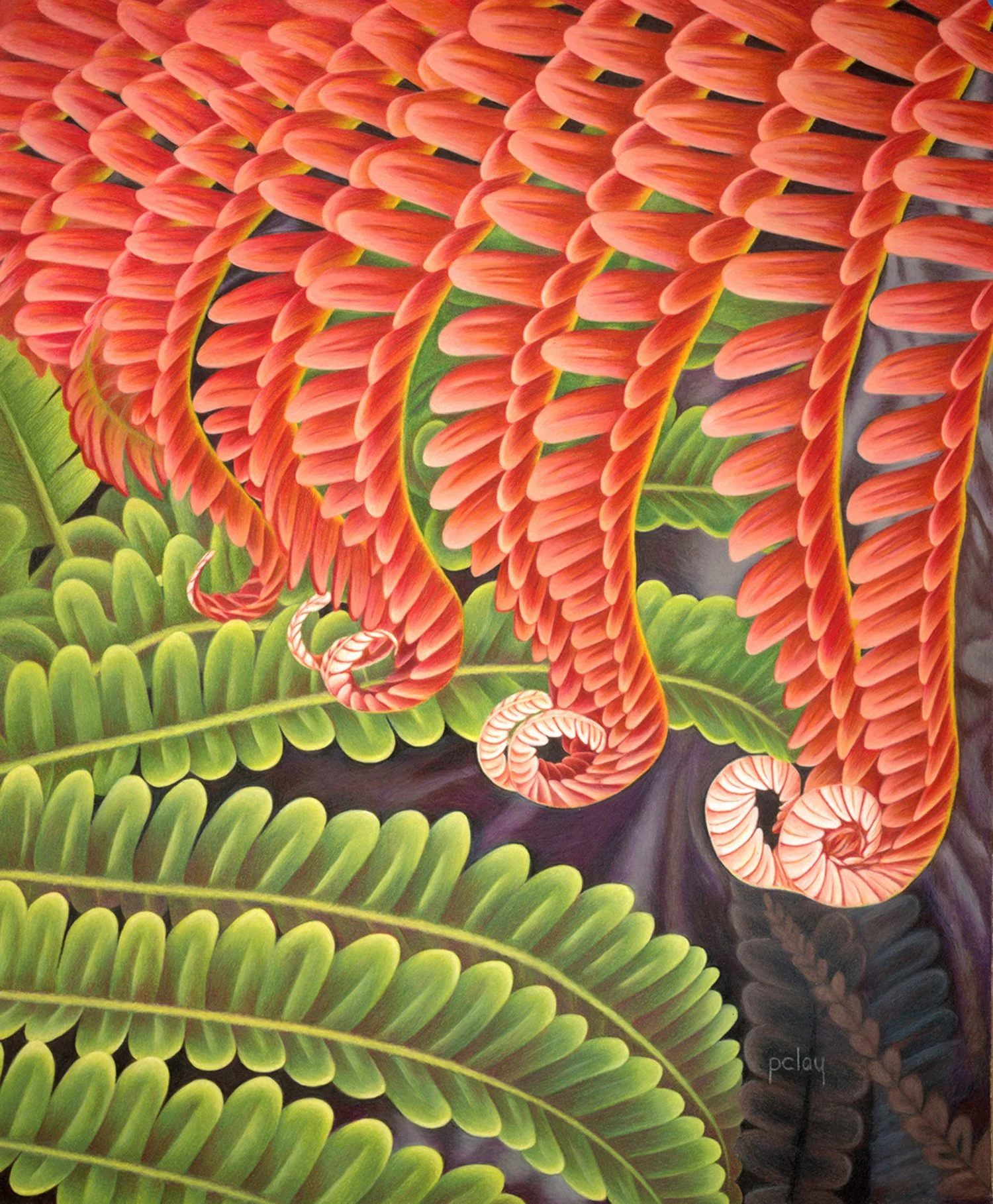 Pauline Clay
The Seasons of Life