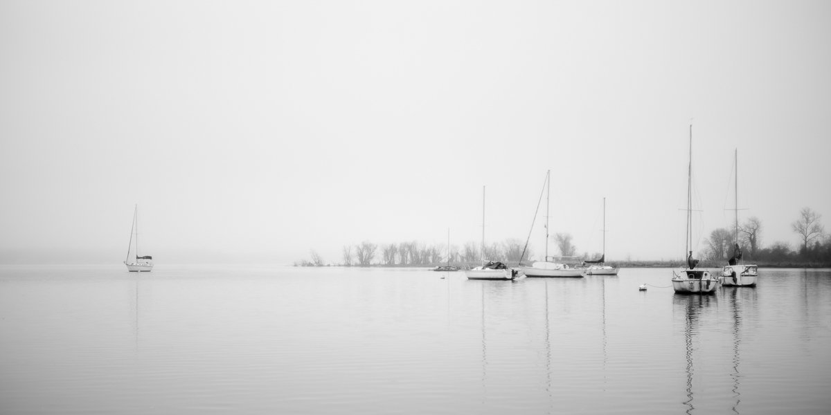 Leslie Landerkin
Fogged In